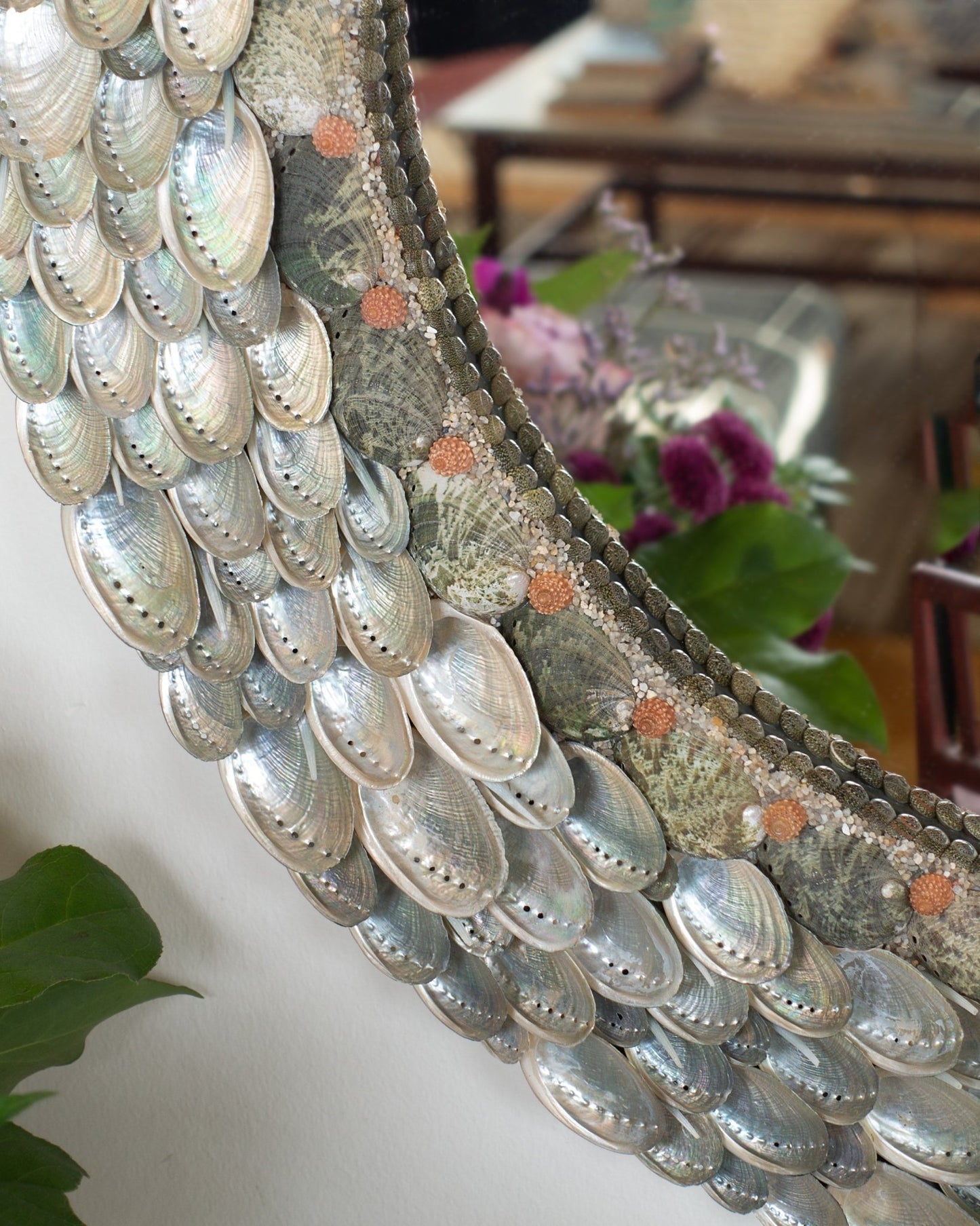 RED TOPS | Shell mirror, 1 of 1 | Shellman | Amsterdam | Natural art from sea and beach