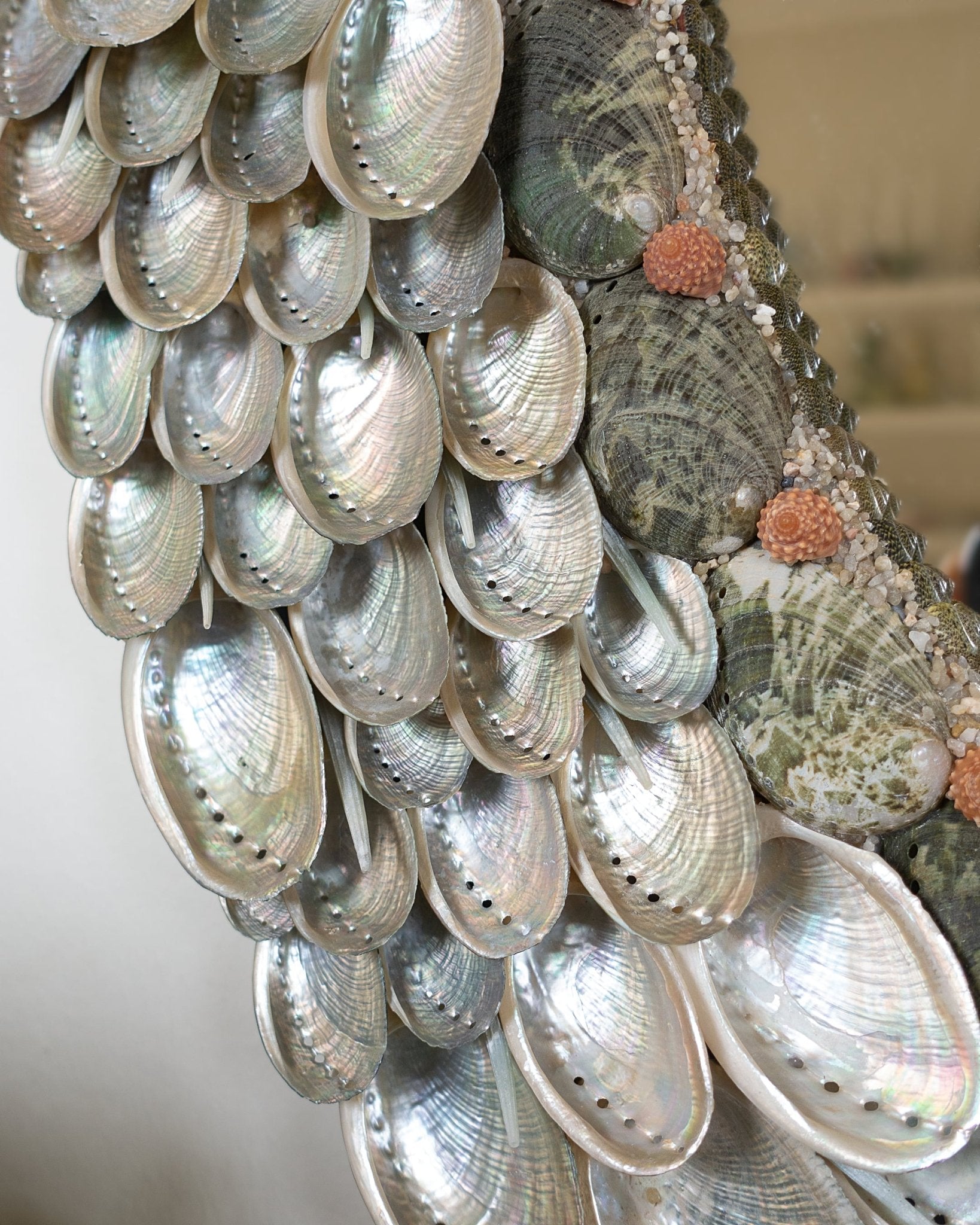 RED TOPS | Shell mirror, 1 of 1 | Shellman | Amsterdam | Natural art from sea and beach