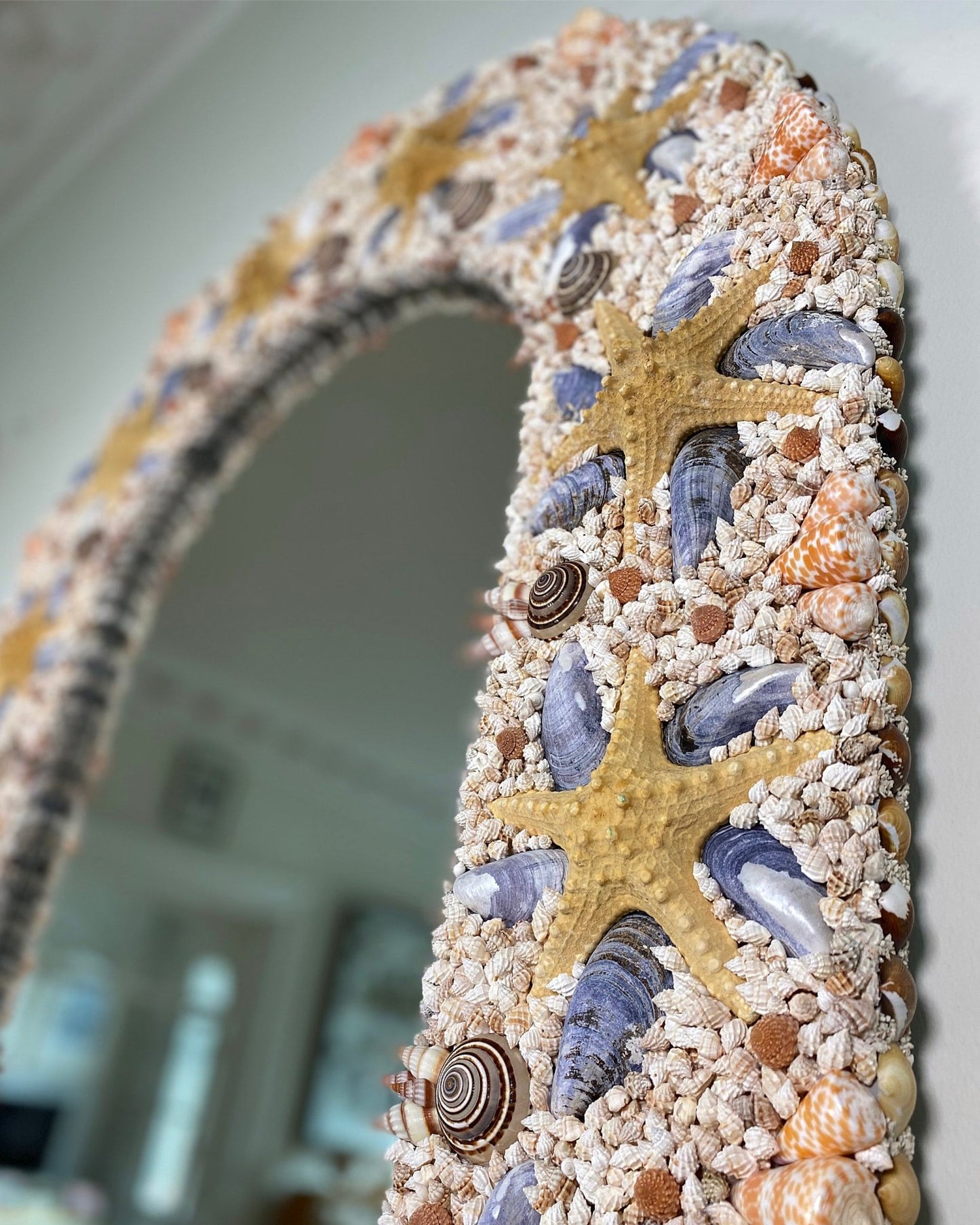 STARSTRUCK | Shell mirror, 1 of 1 | Shellman | Amsterdam | Natural art from sea and beach