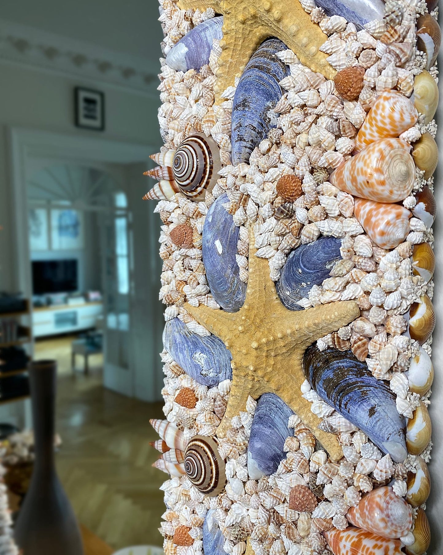 STARSTRUCK | Shell mirror, 1 of 1 | Shellman | Amsterdam | Natural art from sea and beach