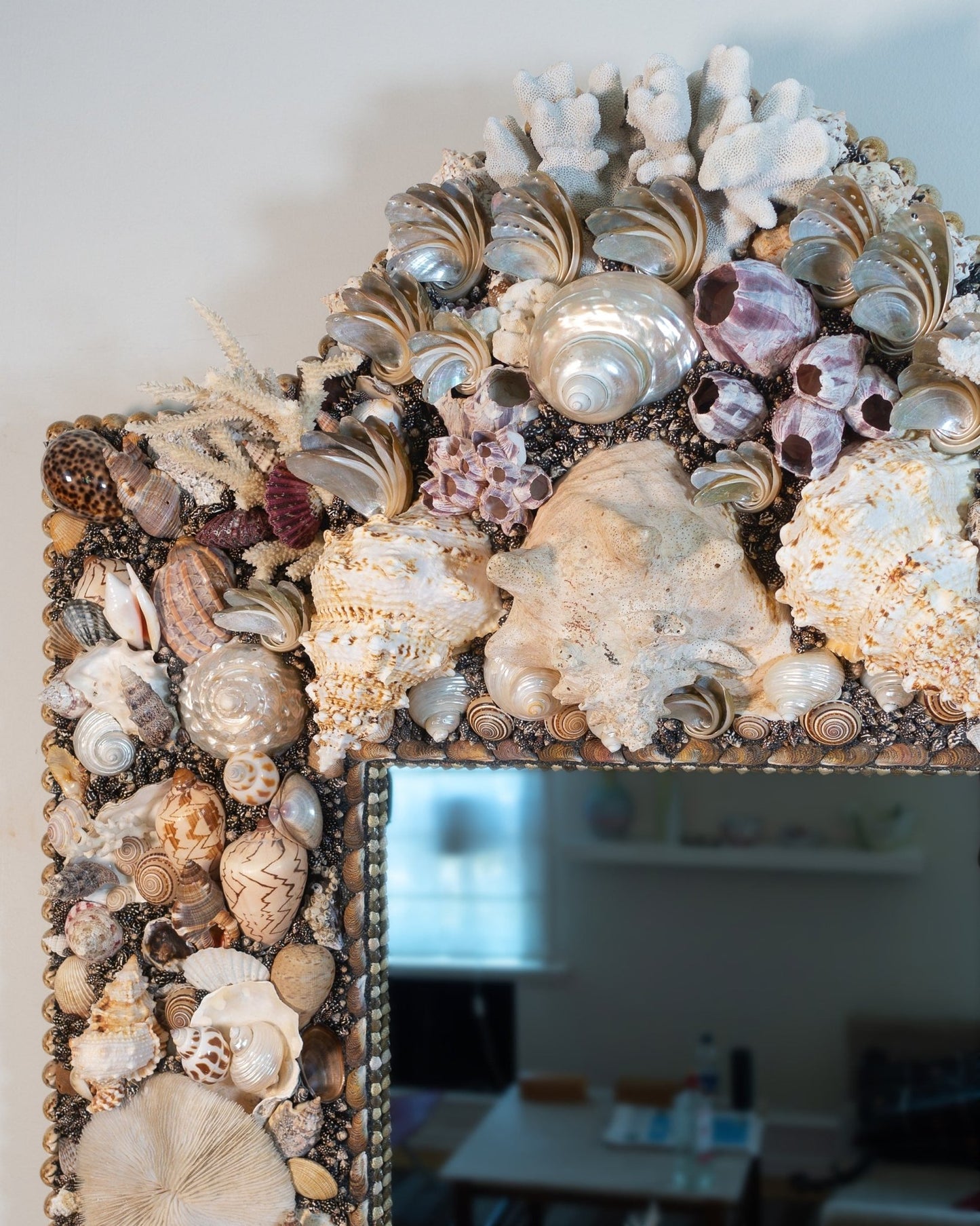 SUMMER SPECIAL | Shell mirror, 1 of 1 | Shellman | Amsterdam | Natural art from sea and beach