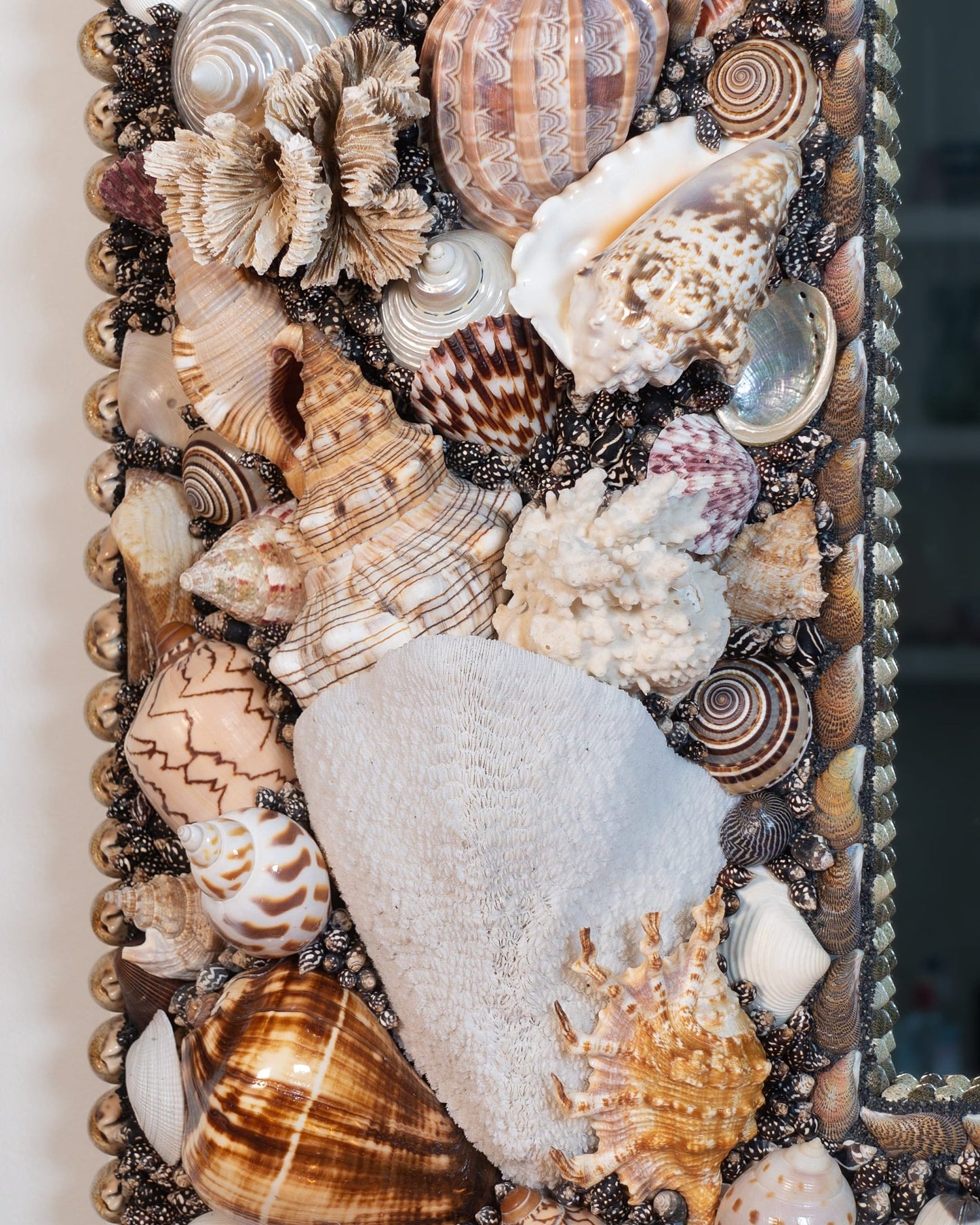 SUMMER SPECIAL | Shell mirror, 1 of 1 | Shellman | Amsterdam | Natural art from sea and beach