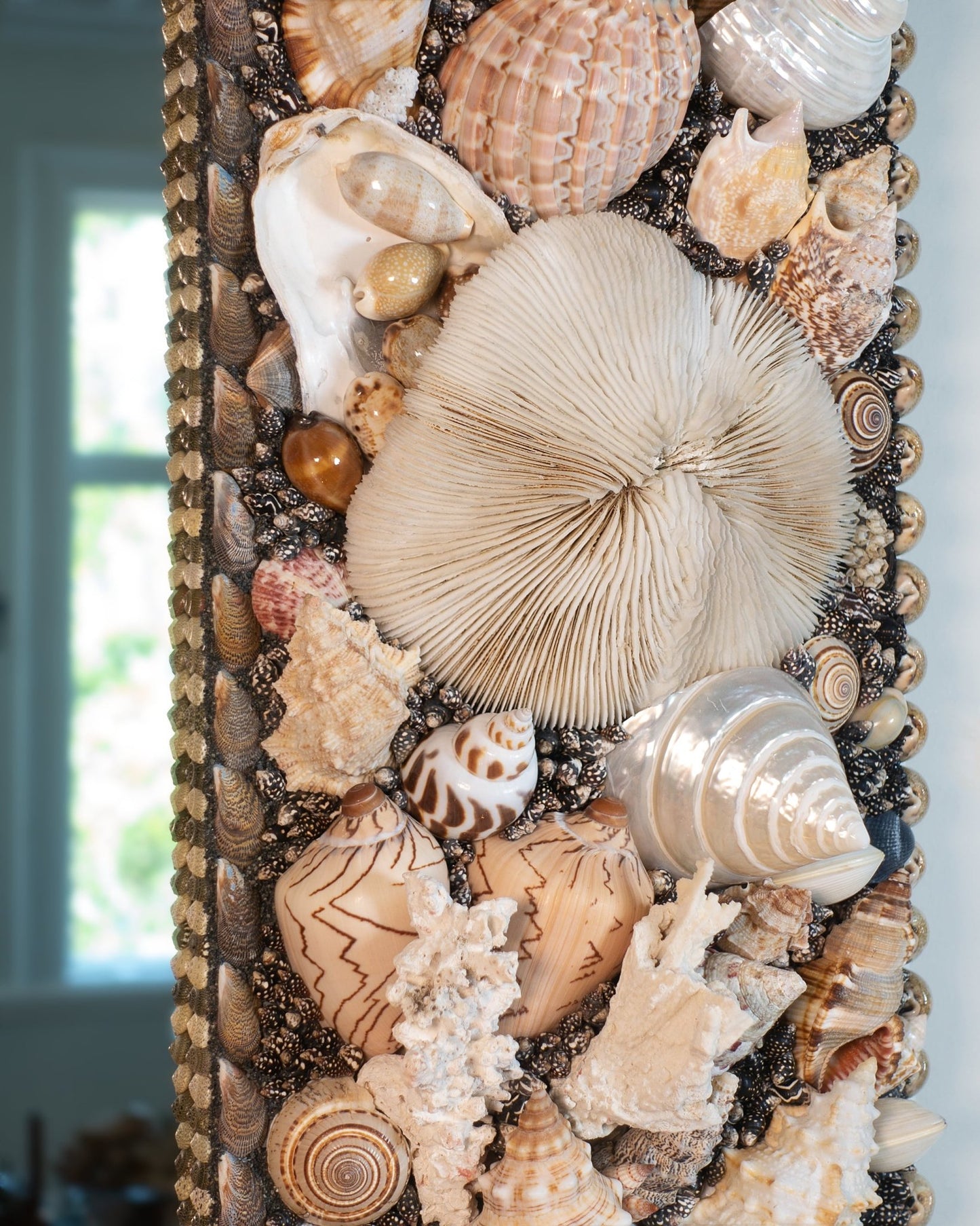 SUMMER SPECIAL | Shell mirror, 1 of 1 | Shellman | Amsterdam | Natural art from sea and beach