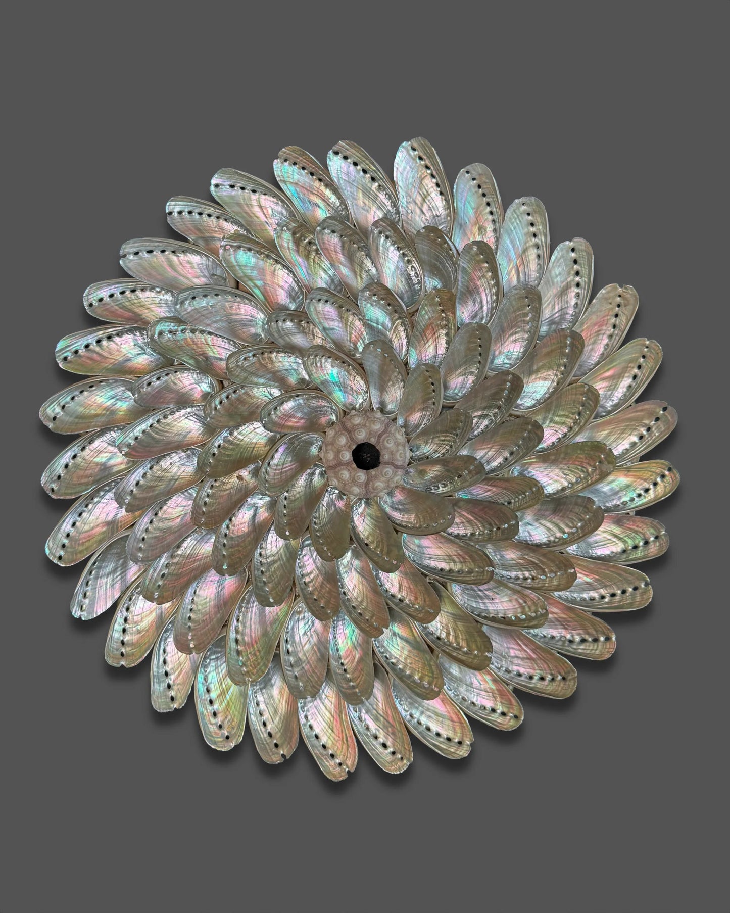 Whirlpools | Wall decoration | Shellman | Amsterdam | Natural art from sea and beach