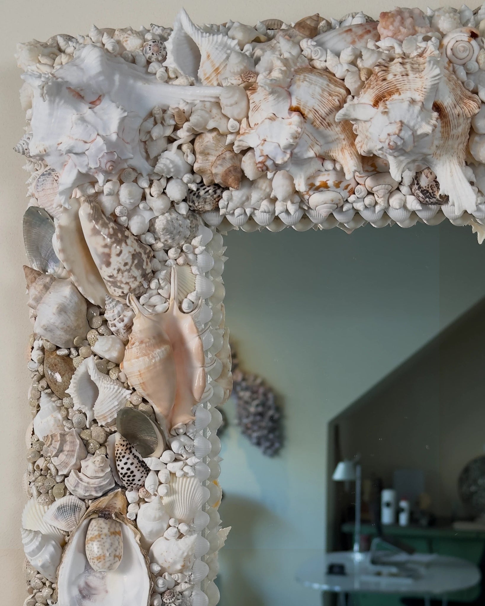 WINTER SOLSTICE | Shell mirror | Shellman | Amsterdam | Natural art from sea and beach