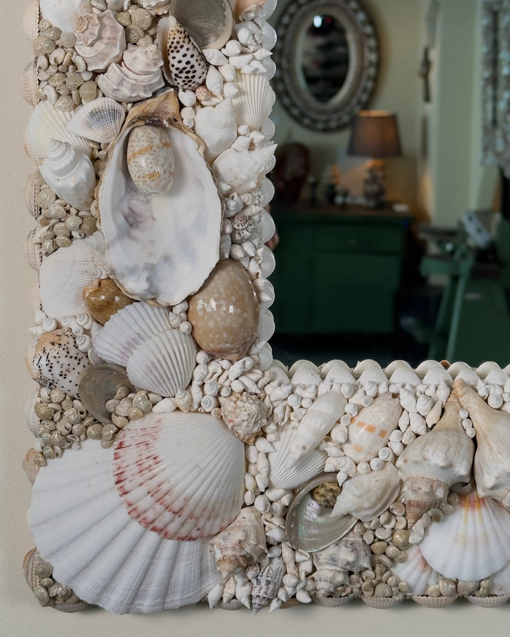 WINTER SOLSTICE | Shell mirror | Shellman | Amsterdam | Natural art from sea and beach