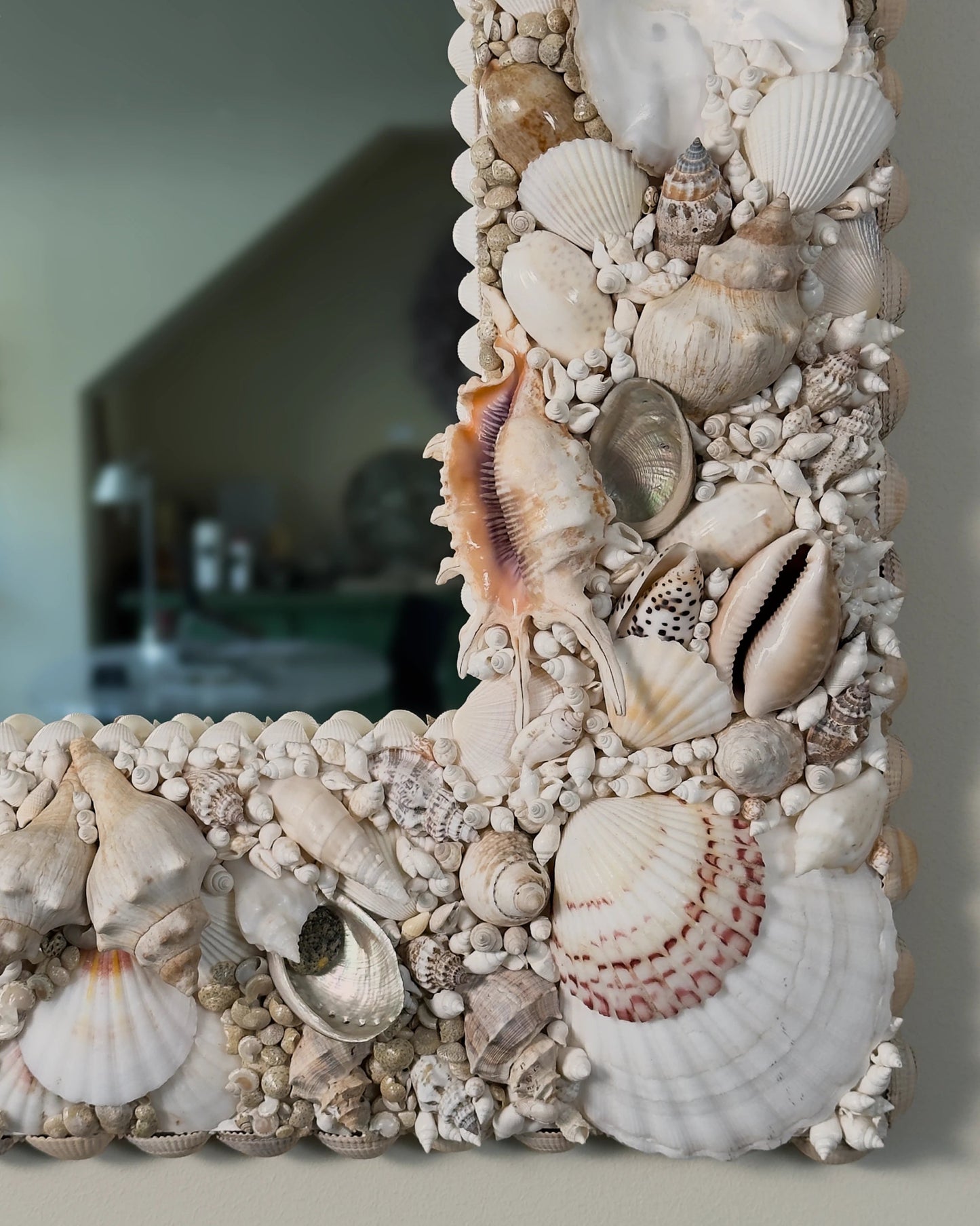 WINTER SOLSTICE | Shell mirror | Shellman | Amsterdam | Natural art from sea and beach