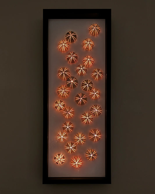 LUMINOUS NO.2 | Light / Wall Decoration, 1 of 1 | Shellman | Amsterdam | Natural art from sea and beach