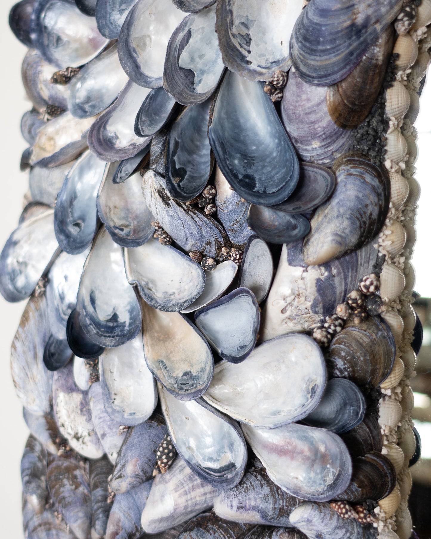 The Mussel Puzzle
