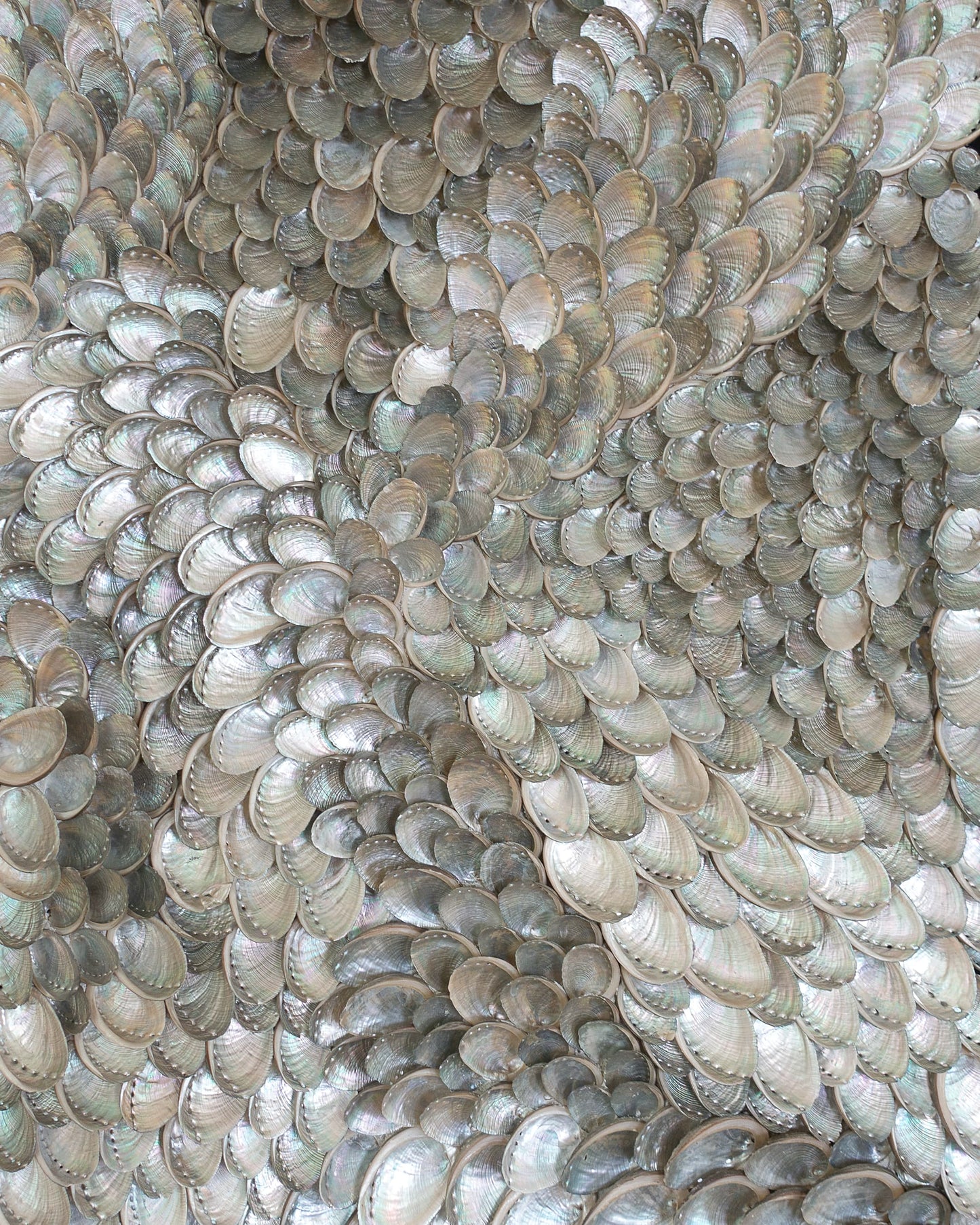 The Shimmering