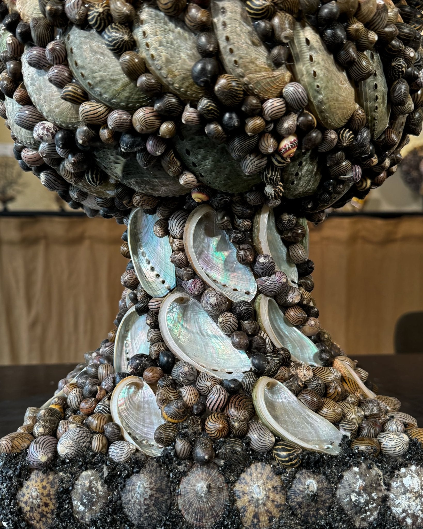 ABALONE FLOWER POTS | Flower Pots, 2 of 2 | Shellman | Amsterdam | Natural art from sea and beach