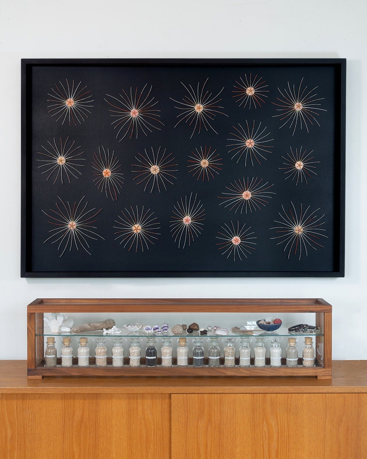 BIG BANG | Sea urchins, 1 of 1 | Shellman | Amsterdam | Natural art from sea and beach