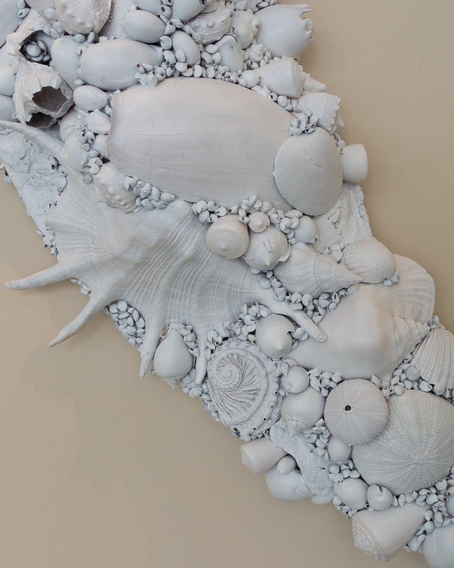 CRESCENT MOON | Wall decoration, 1 of 1 | Shellman | Amsterdam | Natural art from sea and beach