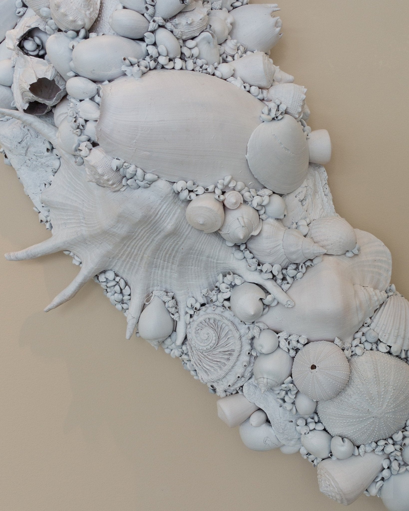 CRESCENT MOON | Wall decoration, 1 of 1 | Shellman | Amsterdam | Natural art from sea and beach