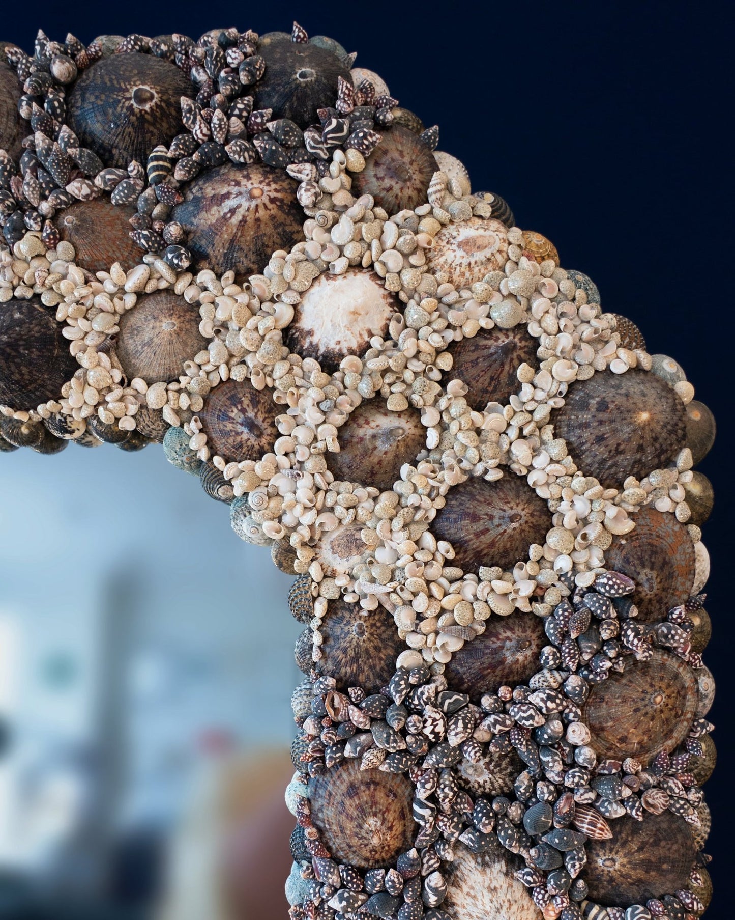 Cutting Corners Limpets | Shell mirror, 1 of 1 | Shellman | Amsterdam | Natural art from sea and beach