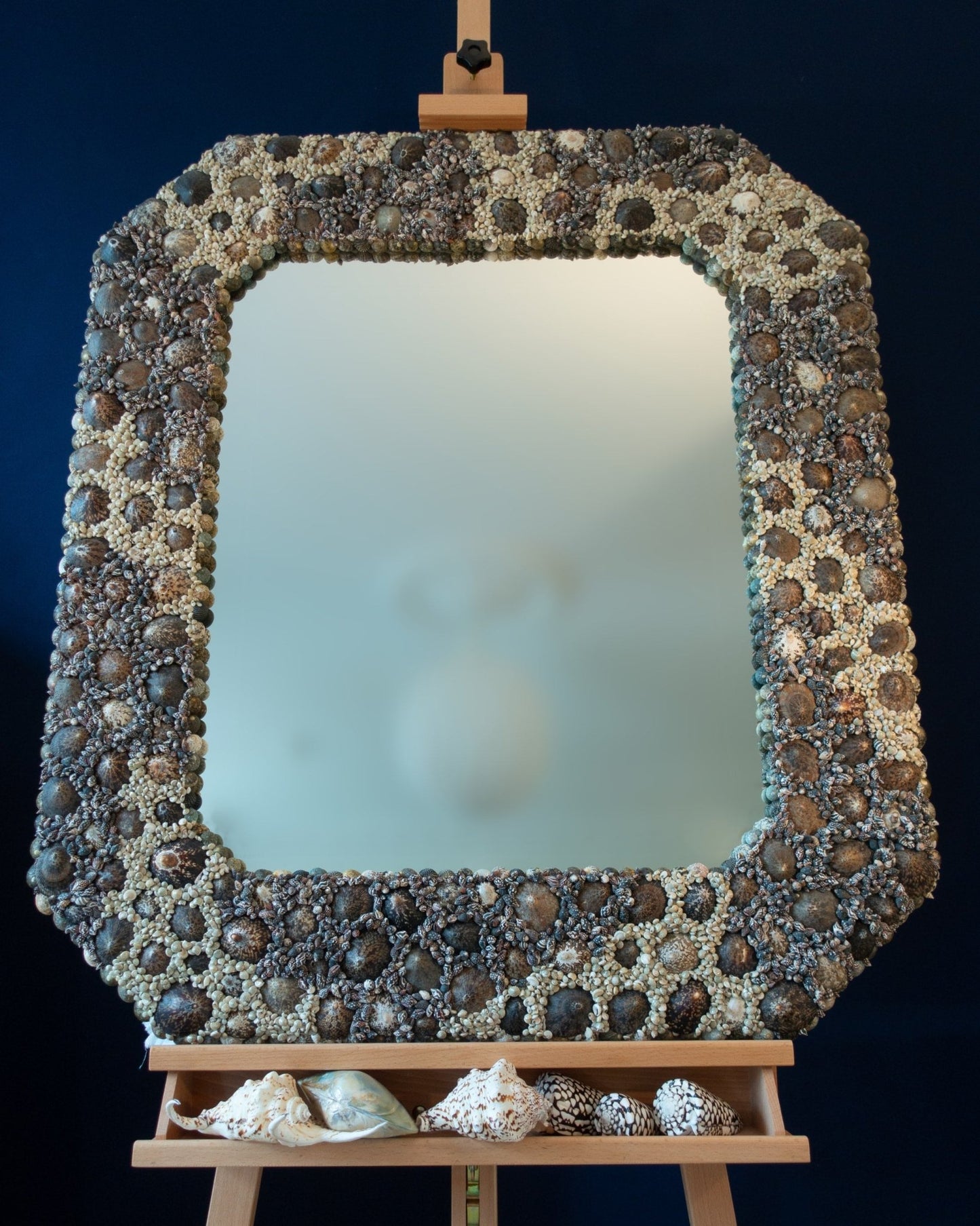 Cutting Corners Limpets | Shell mirror, 1 of 1 | Shellman | Amsterdam | Natural art from sea and beach