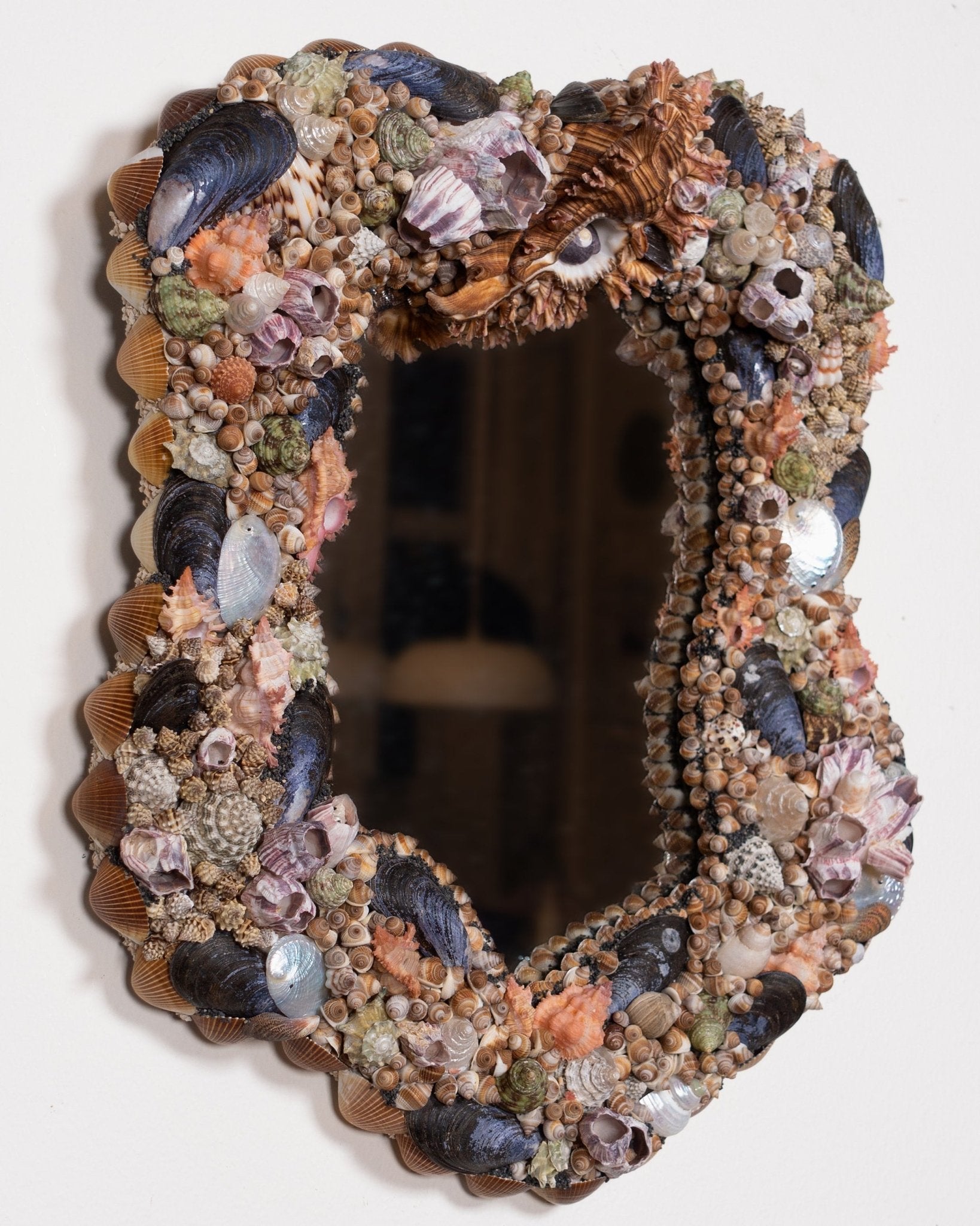 FACE SPACE | Shell mirror, 1 of 1 | Shellman | Amsterdam | Natural art from sea and beach