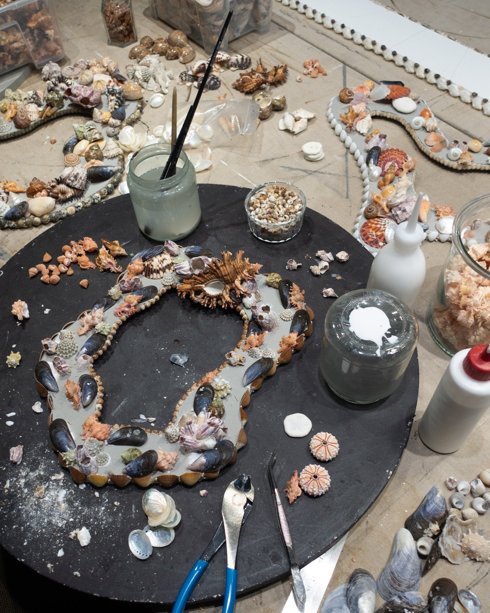 FACE SPACE | Shell mirror, 1 of 1 | Shellman | Amsterdam | Natural art from sea and beach