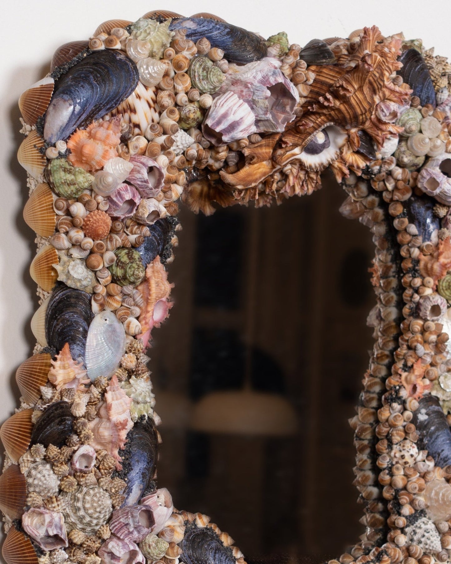 FACE SPACE | Shell mirror, 1 of 1 | Shellman | Amsterdam | Natural art from sea and beach