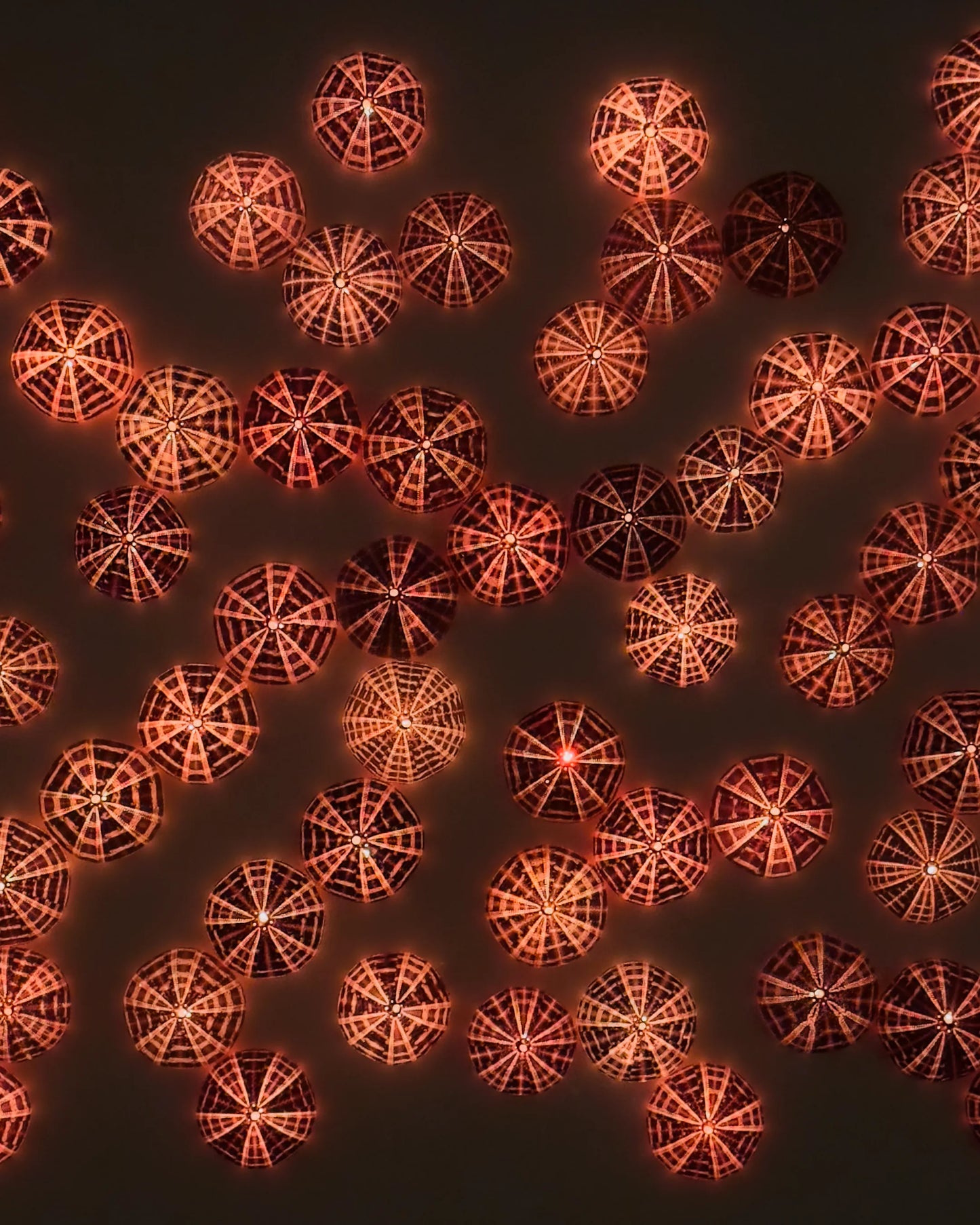 Luminous No. 1