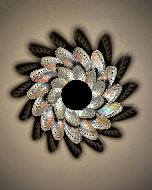 LUMI 21 | Light / Wall Decoration | Shellman | Amsterdam | Natural art from sea and beach