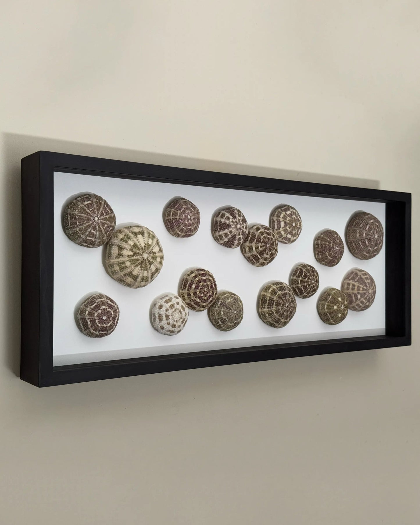 Luminous No. 10 | Light / Wall Decoration, 1 of 1 | Shellman | Amsterdam | Natural art from sea and beach