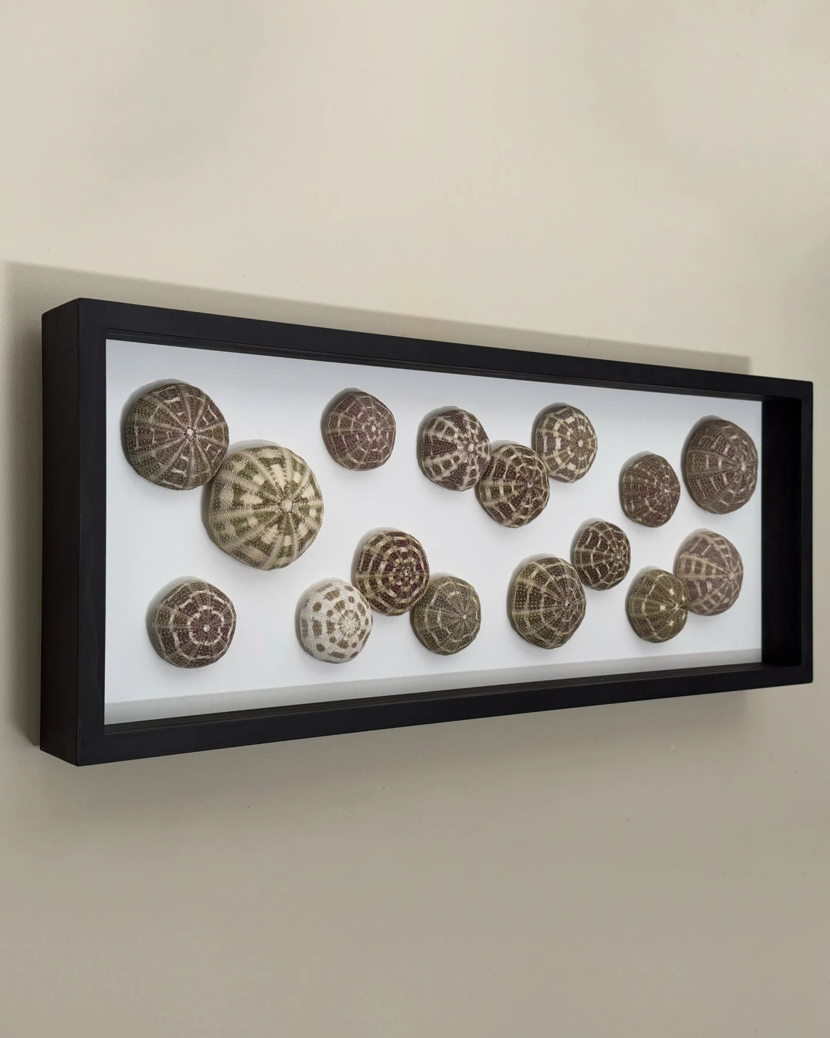 Luminous No. 10 | Light / Wall Decoration, 1 of 1 | Shellman | Amsterdam | Natural art from sea and beach