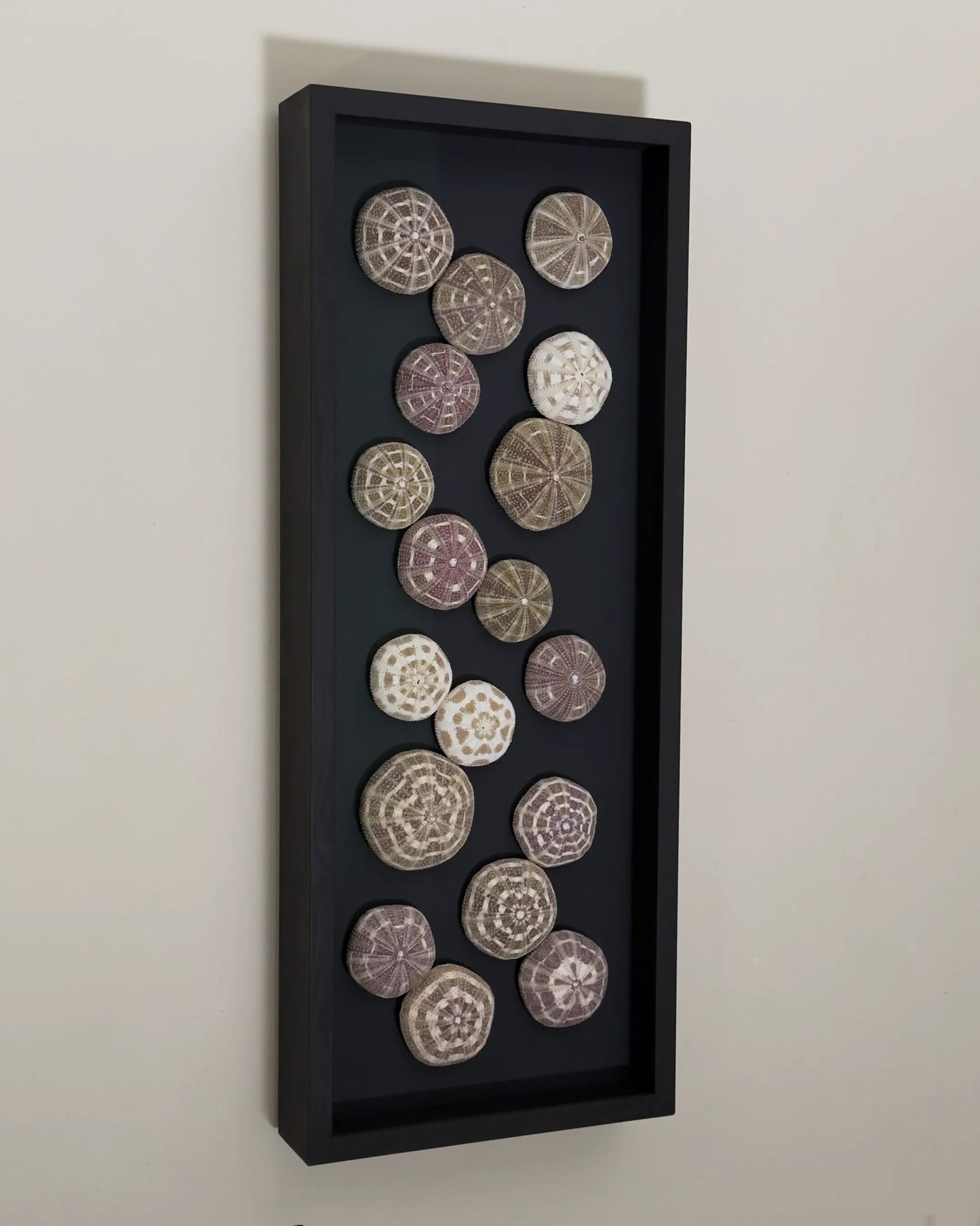 Luminous No. 11 | Light / Wall Decoration, 1 of 1 | Shellman | Amsterdam | Natural art from sea and beach