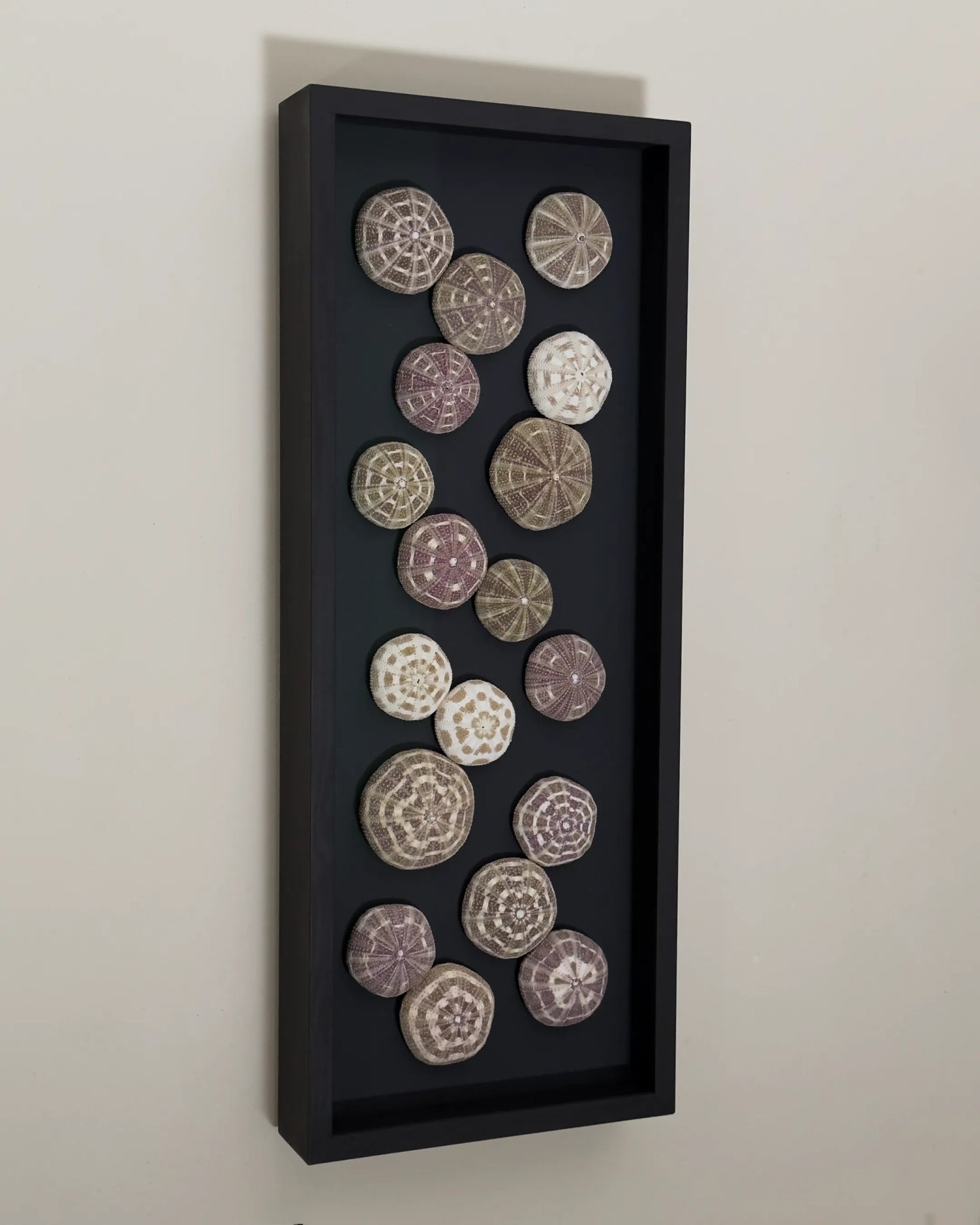 Luminous No. 11 | Light / Wall Decoration, 1 of 1 | Shellman | Amsterdam | Natural art from sea and beach