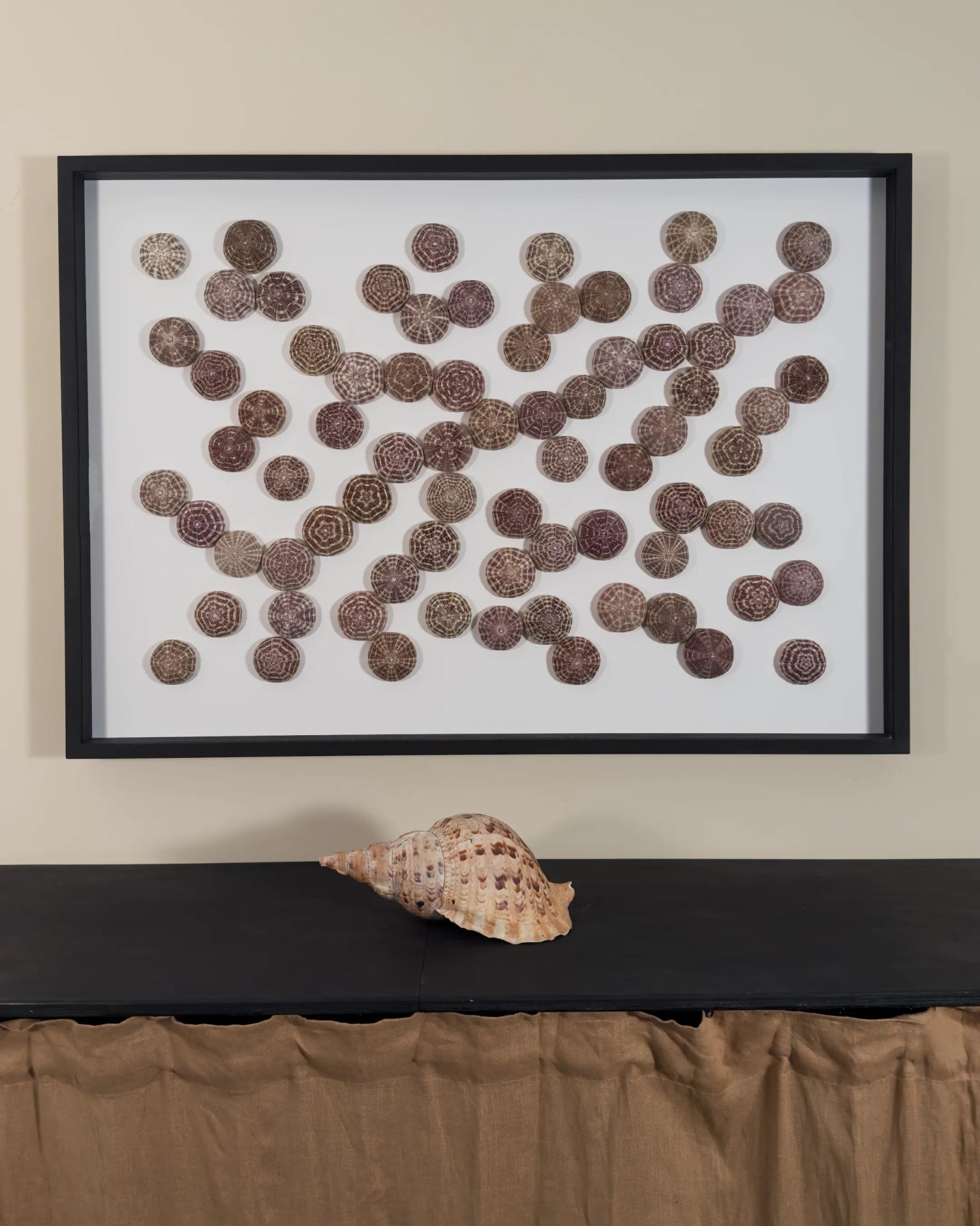 LUMINOUS NO.1 | Light / Wall Decoration, 1 of 1 | Shellman | Amsterdam | Natural art from sea and beach