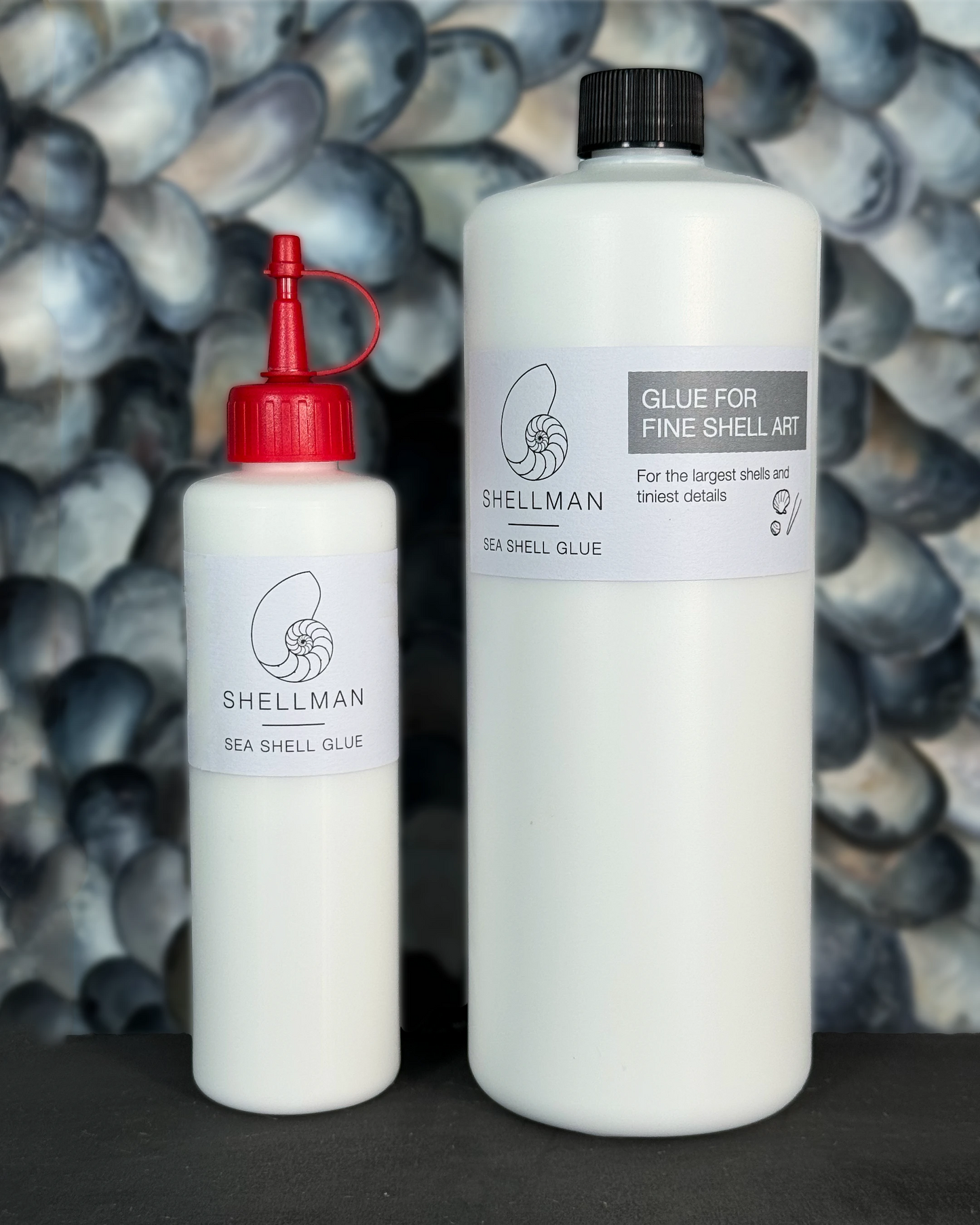 Sea shell glue