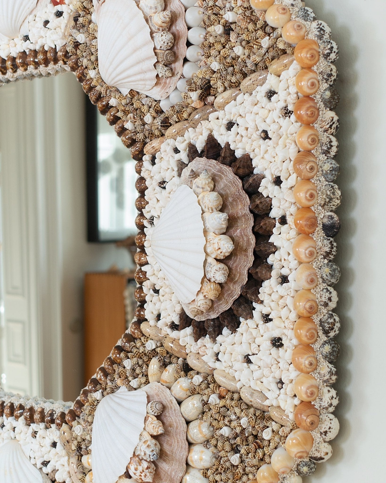 OCTACORONA | Shell mirror, 1 of 1 | Shellman | Amsterdam | Natural art from sea and beach