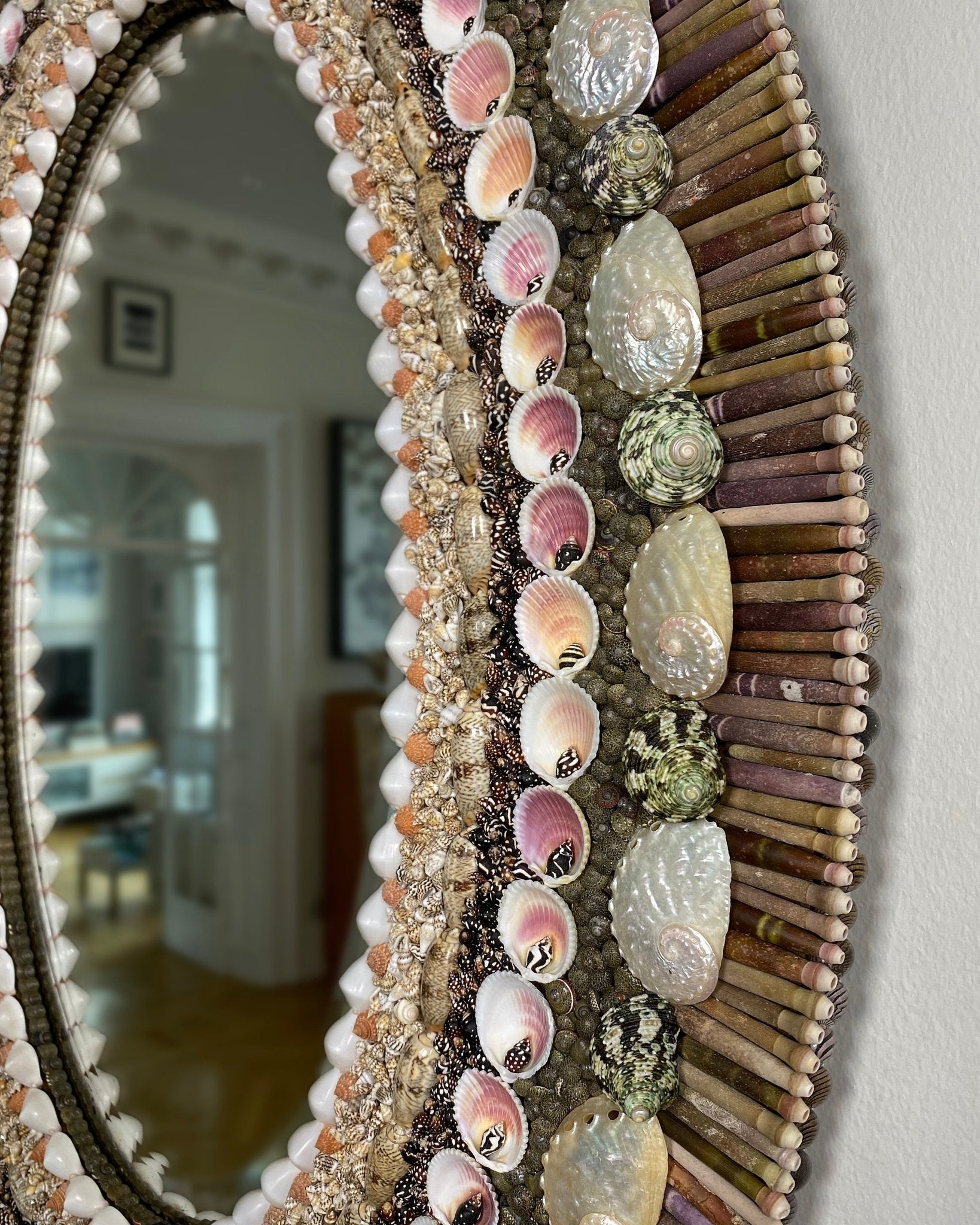 OVAL DECISIONS | Shell mirrror, 1 of 1 | Shellman | Amsterdam | Natural art from sea and beach