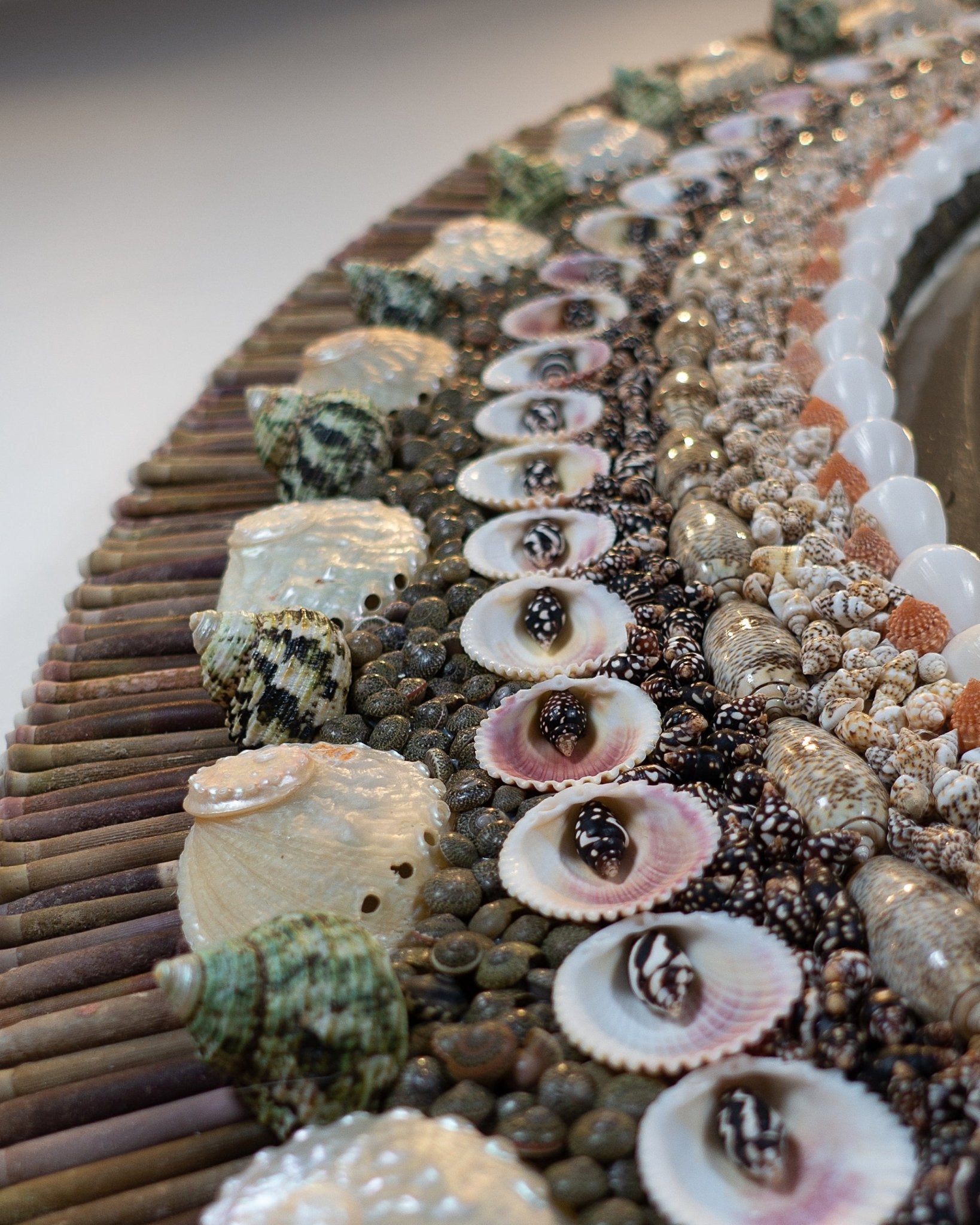 OVAL DECISIONS | Shell mirrror, 1 of 1 | Shellman | Amsterdam | Natural art from sea and beach