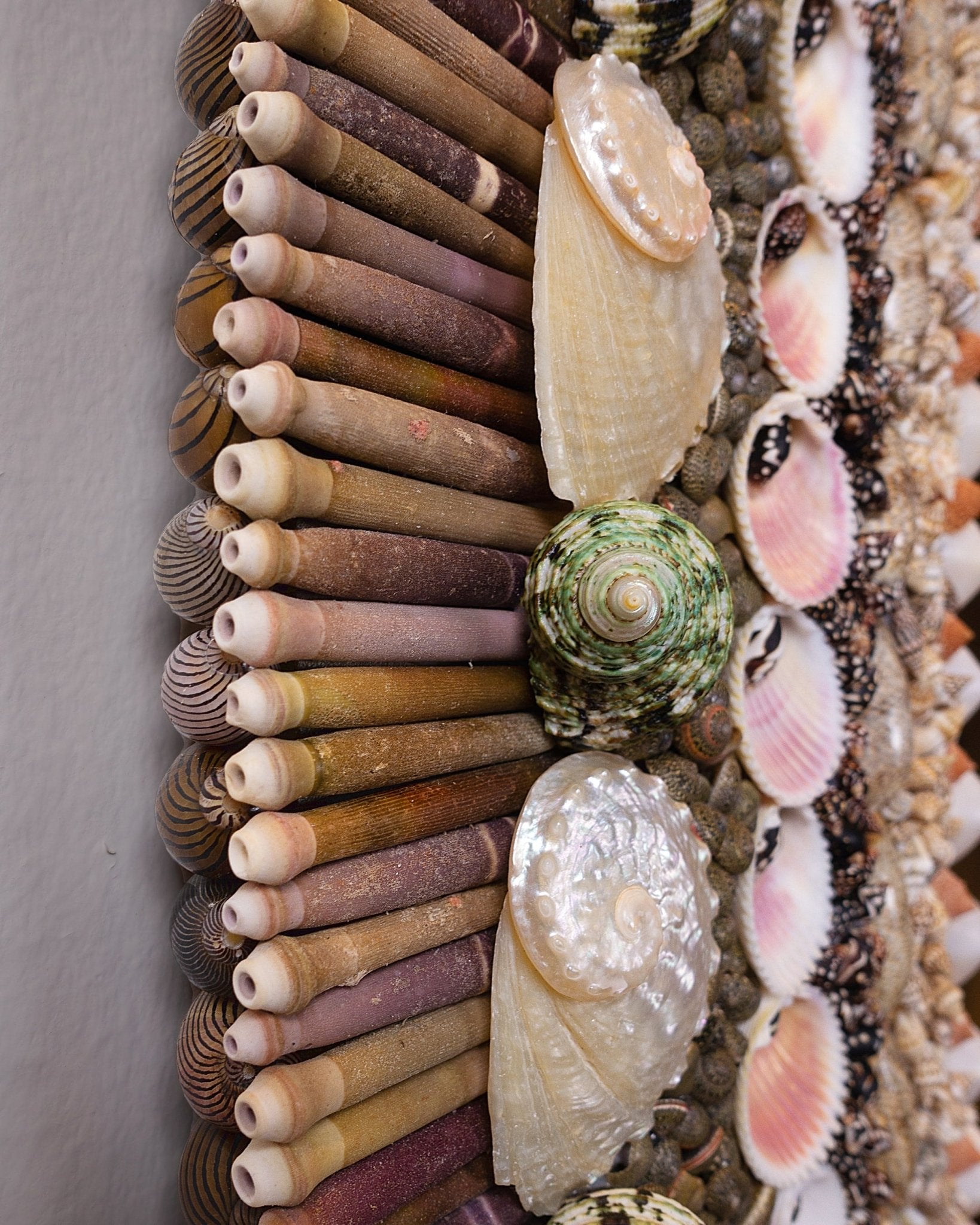 OVAL DECISIONS | Shell mirrror, 1 of 1 | Shellman | Amsterdam | Natural art from sea and beach
