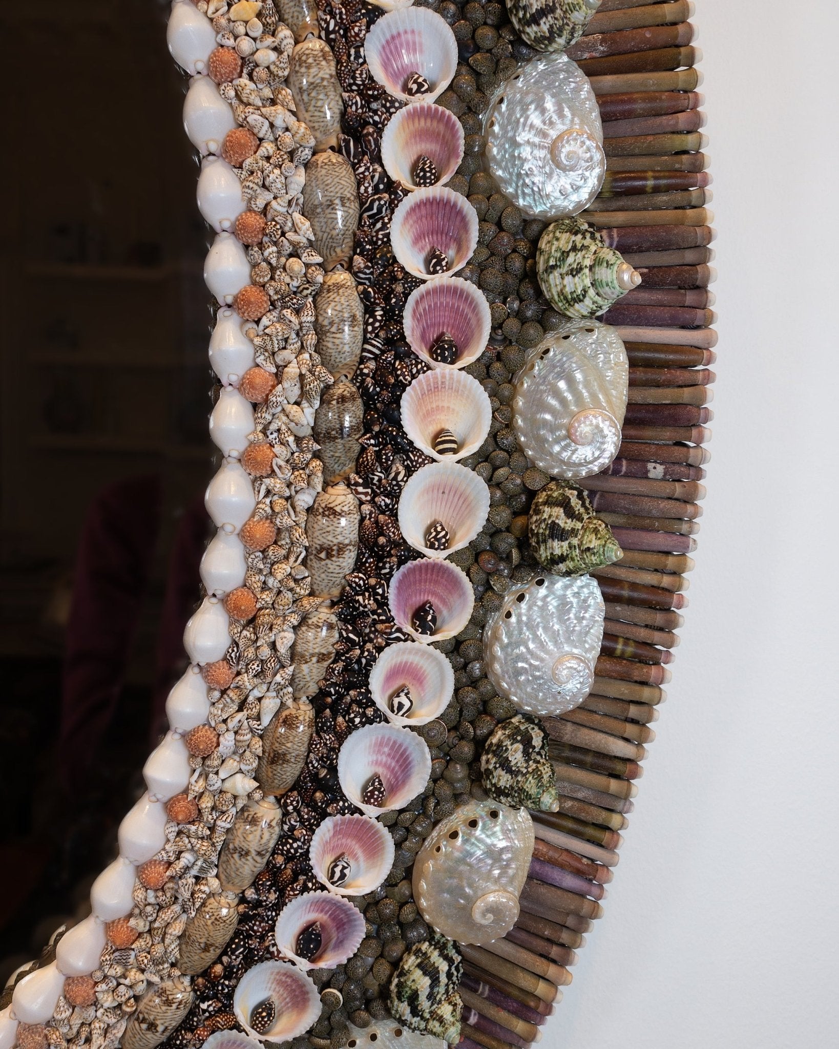 OVAL DECISIONS | Shell mirrror, 1 of 1 | Shellman | Amsterdam | Natural art from sea and beach