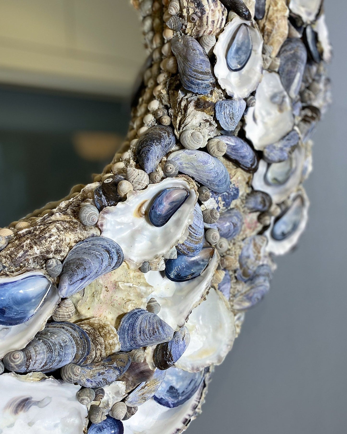 ROUND LITTORINA | Shell mirror, 1 of 1 | Shellman | Amsterdam | Natural art from sea and beach