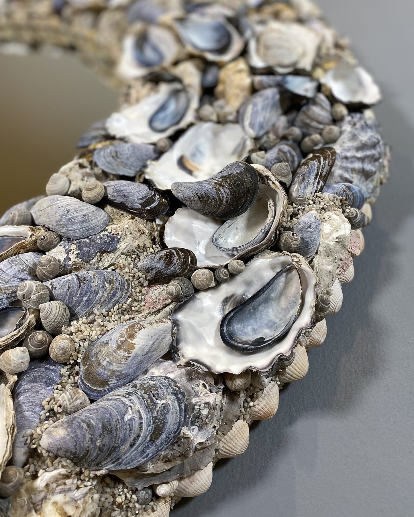 ROUND LITTORINA | Shell mirror, 1 of 1 | Shellman | Amsterdam | Natural art from sea and beach