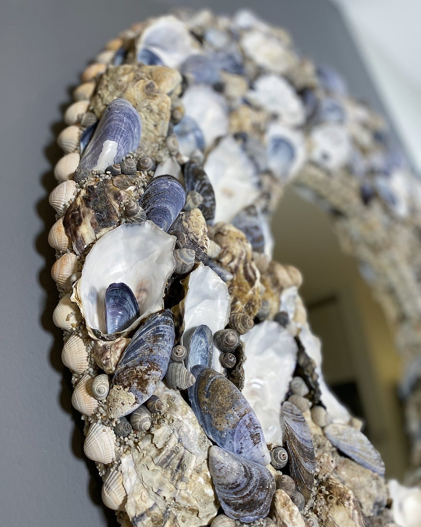 ROUND LITTORINA | Shell mirror, 1 of 1 | Shellman | Amsterdam | Natural art from sea and beach