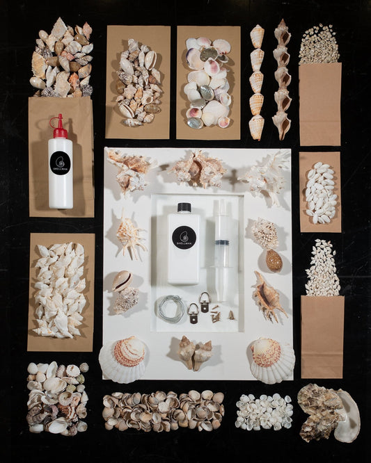 Shell mirror DIY kit No.1 | DIY | Shellman | Amsterdam | Natural art from sea and beach