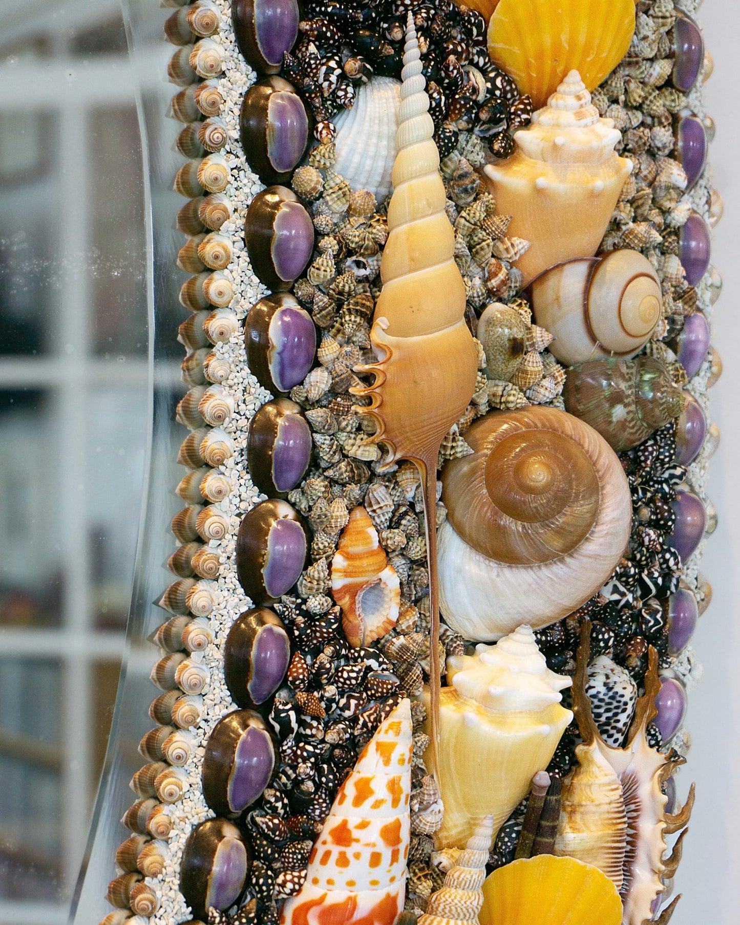 THE NEW BLACK | Shell mirror, 1 of 1 | Shellman | Amsterdam | Natural art from sea and beach