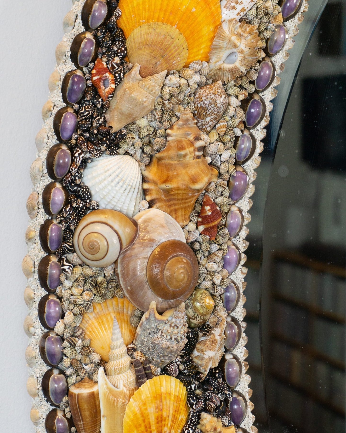 THE NEW BLACK | Shell mirror, 1 of 1 | Shellman | Amsterdam | Natural art from sea and beach