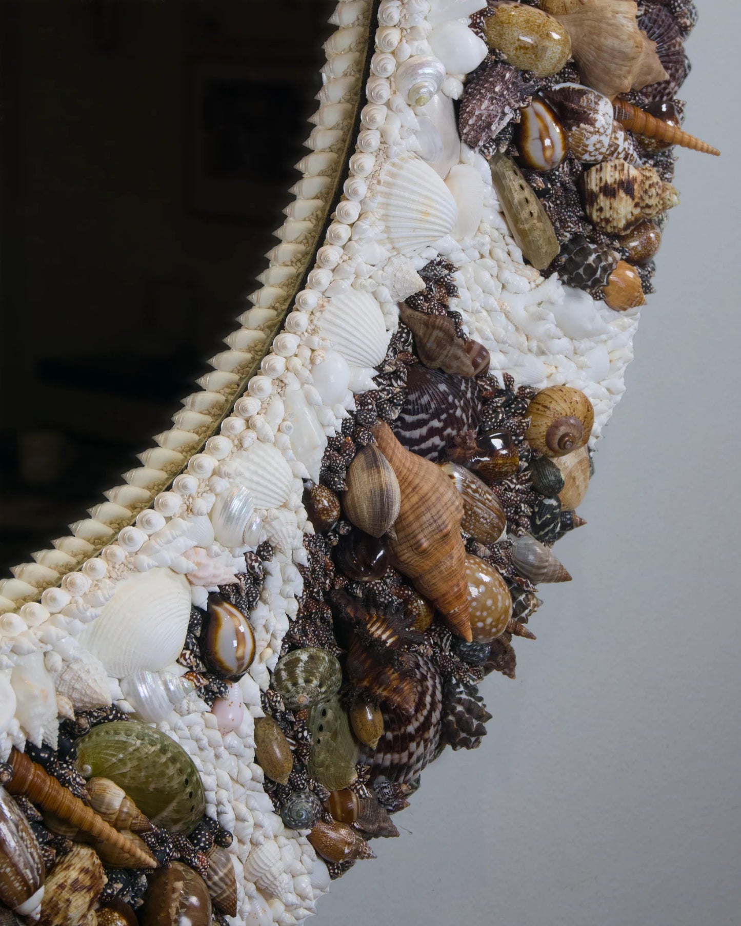 The Outpour | | Shellman | Amsterdam | Natural art from sea and beach