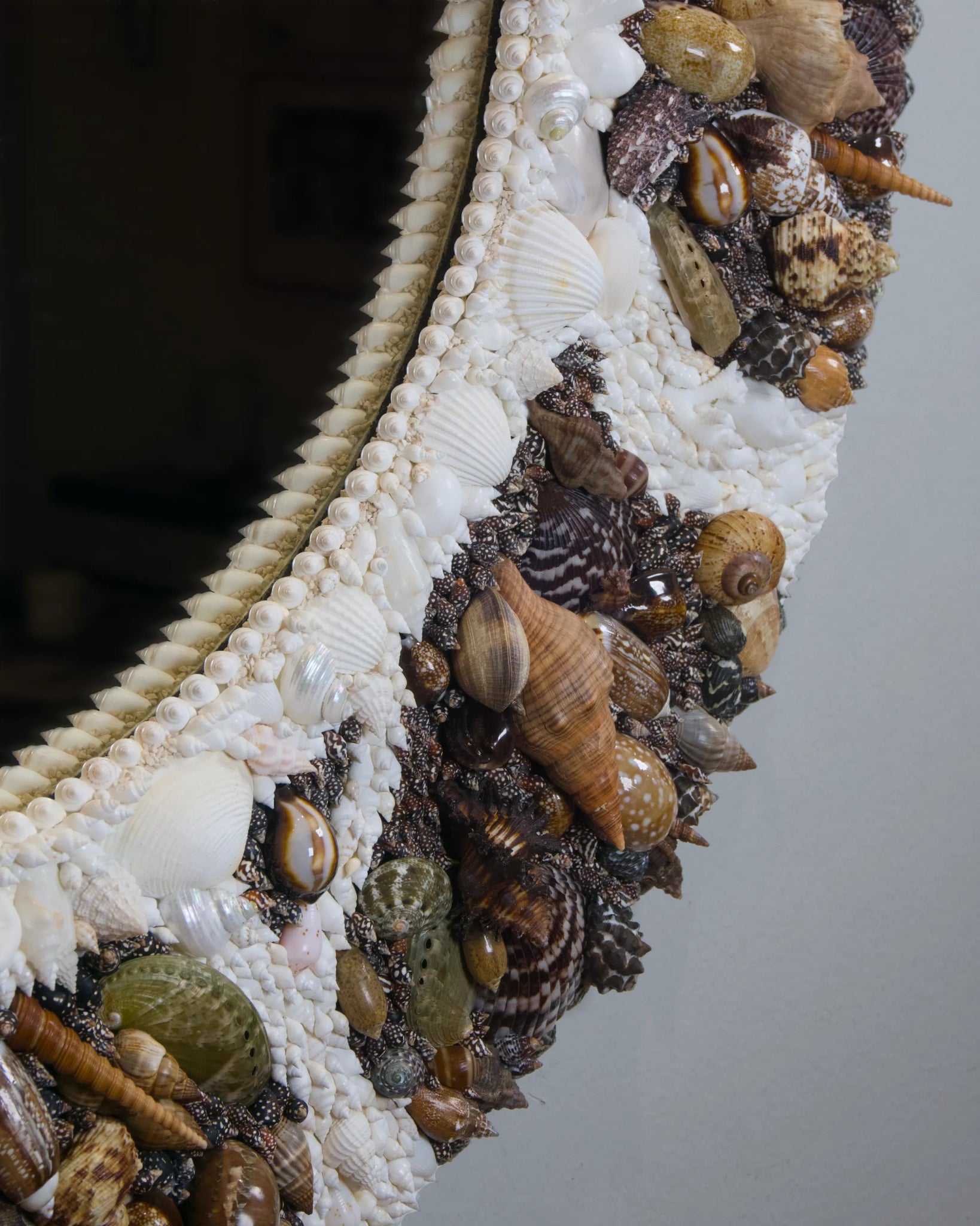 The Outpour | | Shellman | Amsterdam | Natural art from sea and beach