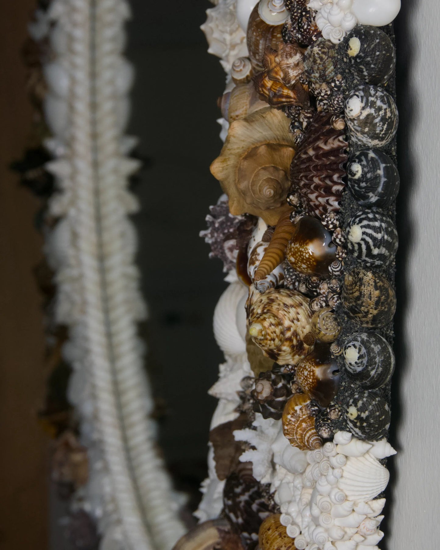 The Outpour | | Shellman | Amsterdam | Natural art from sea and beach