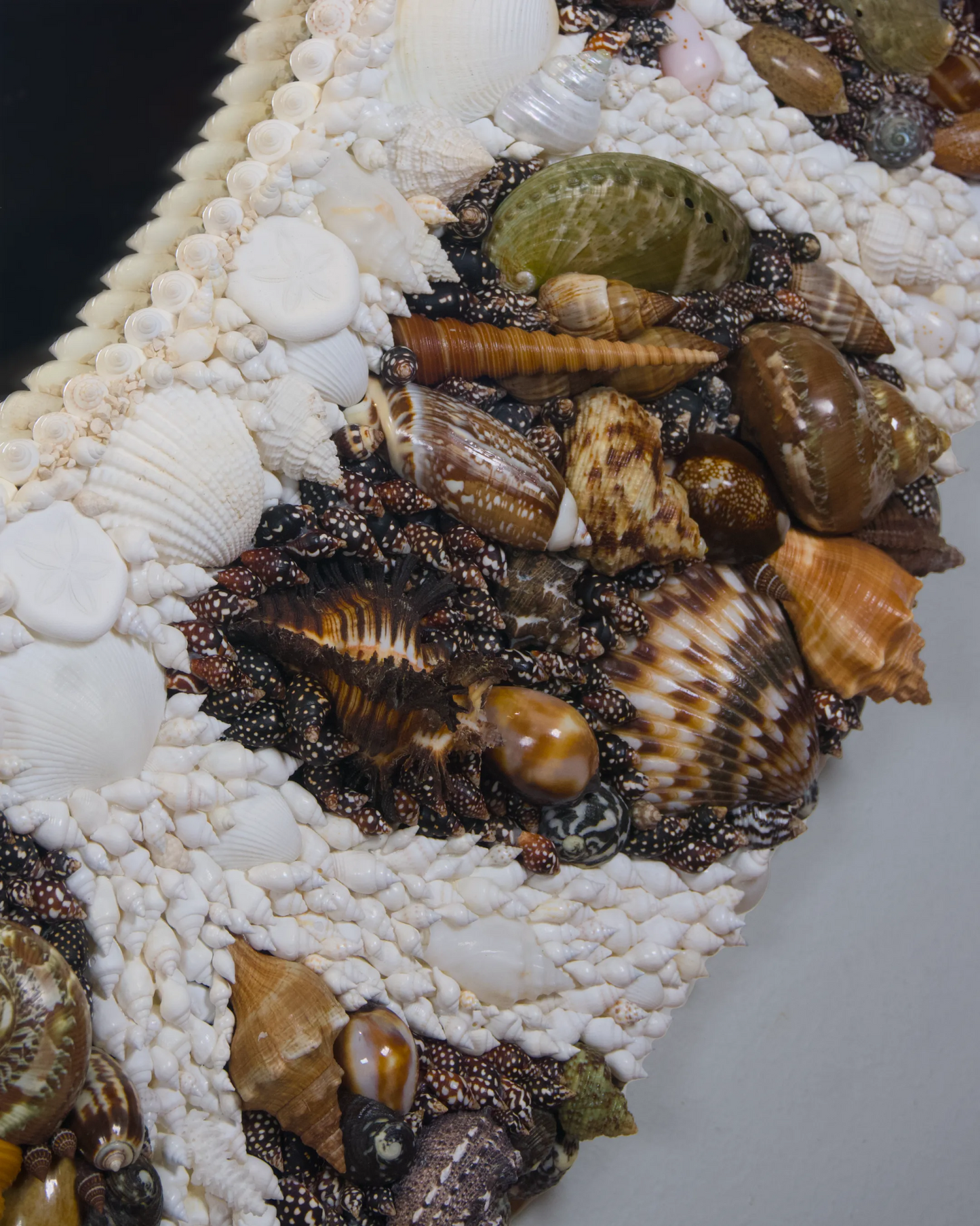 The Outpour | | Shellman | Amsterdam | Natural art from sea and beach