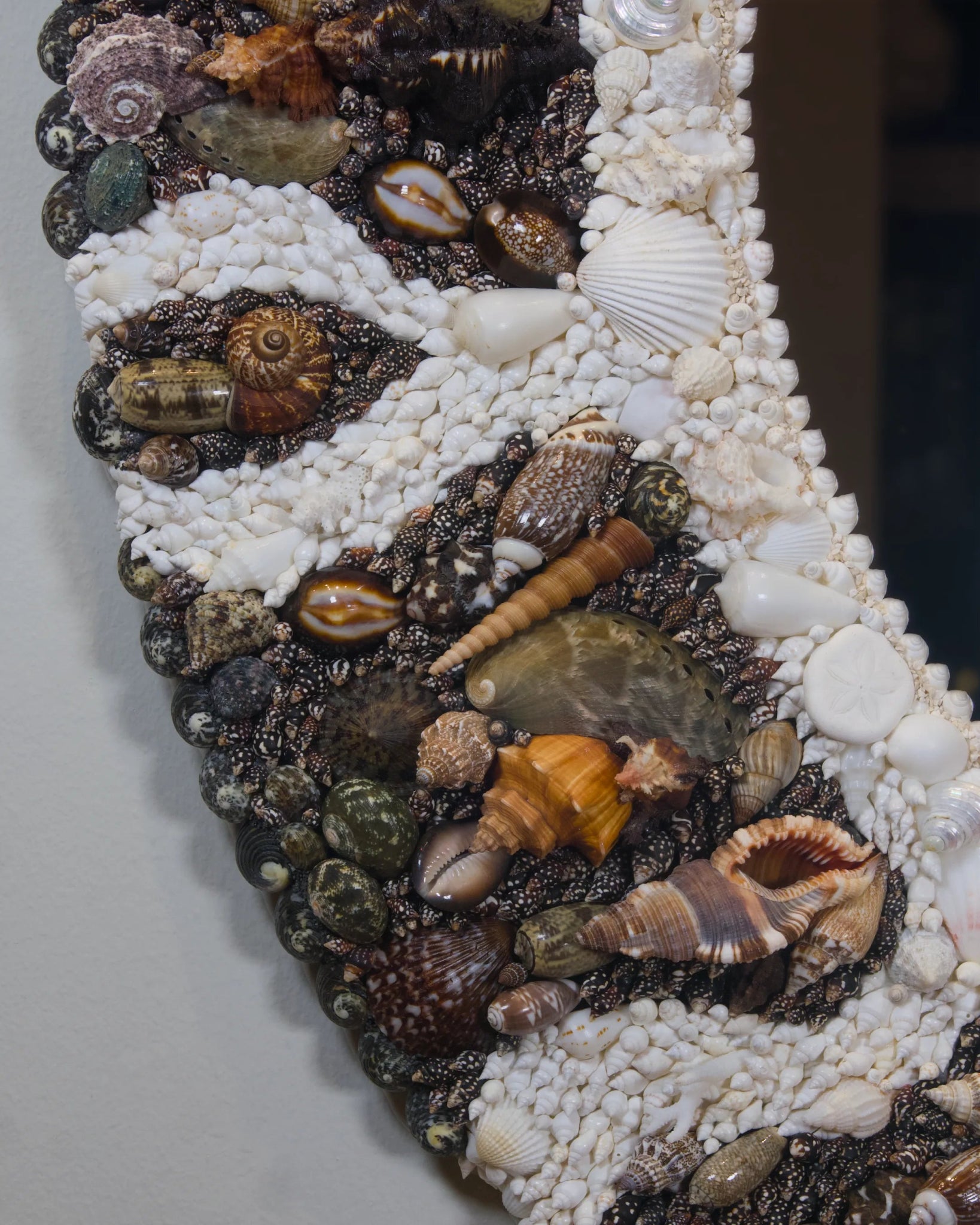 The Outpour | | Shellman | Amsterdam | Natural art from sea and beach