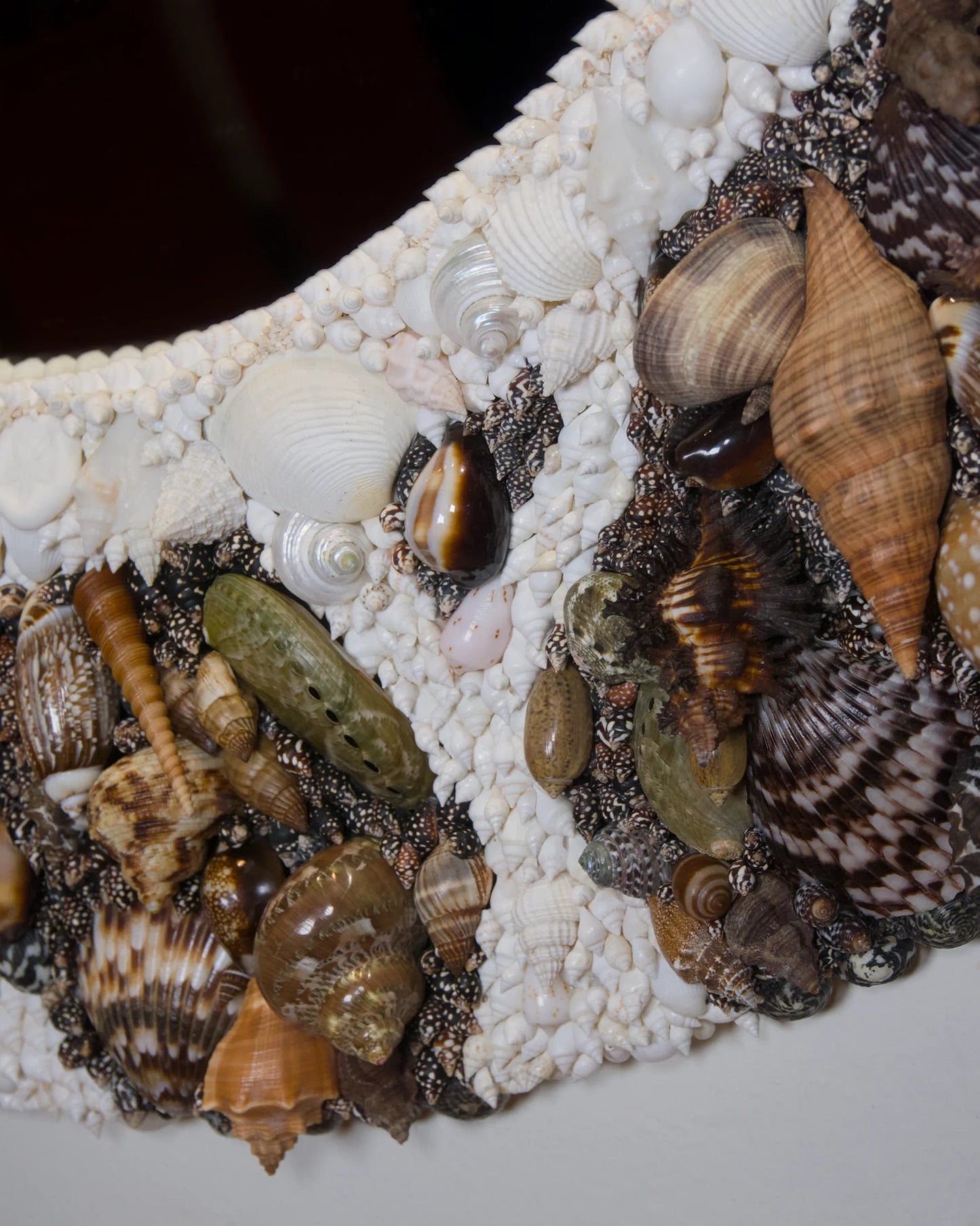 The Outpour | | Shellman | Amsterdam | Natural art from sea and beach