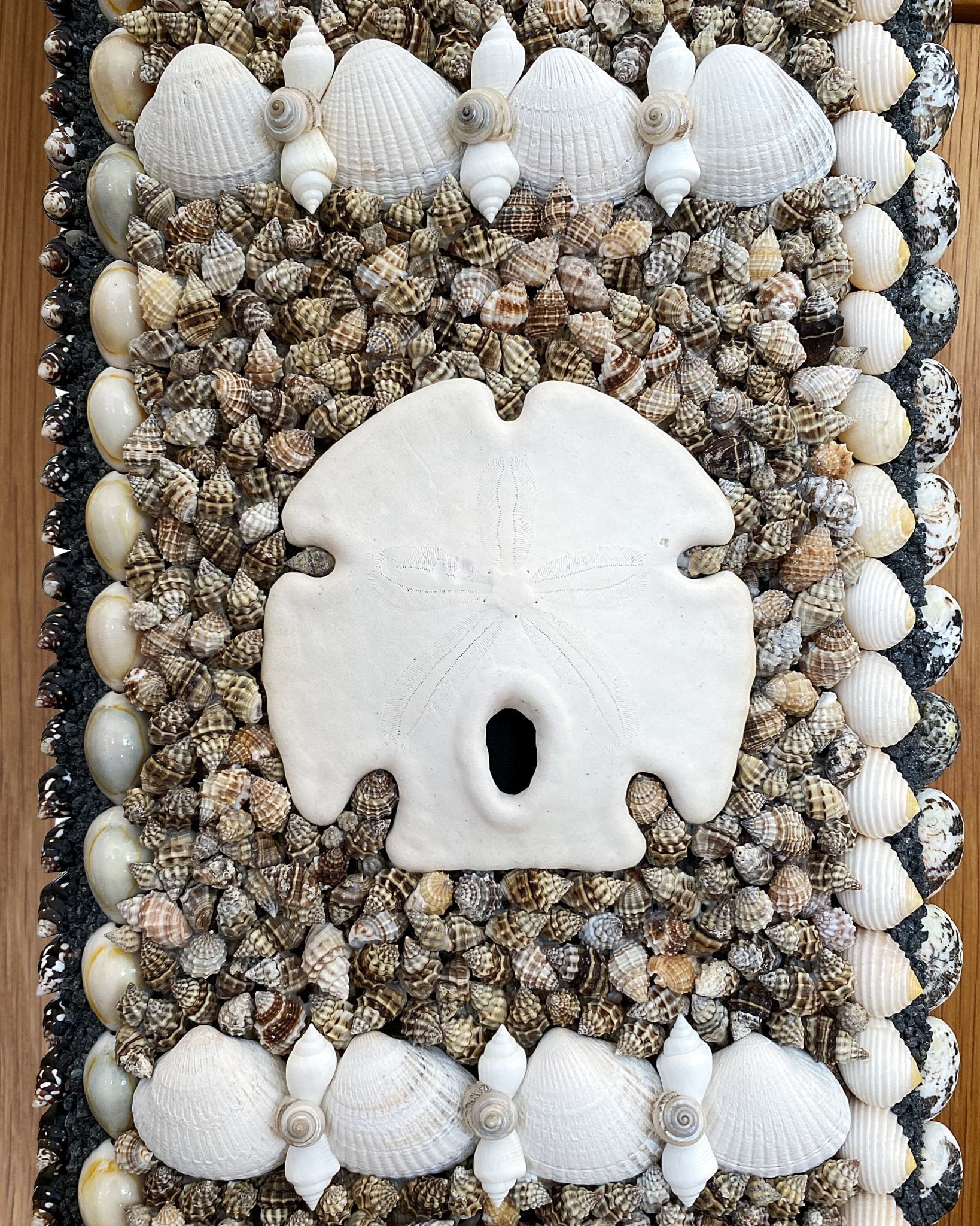 WHAT!? | Shell mirror, 1 of 1 | Shellman | Amsterdam | Natural art from sea and beach