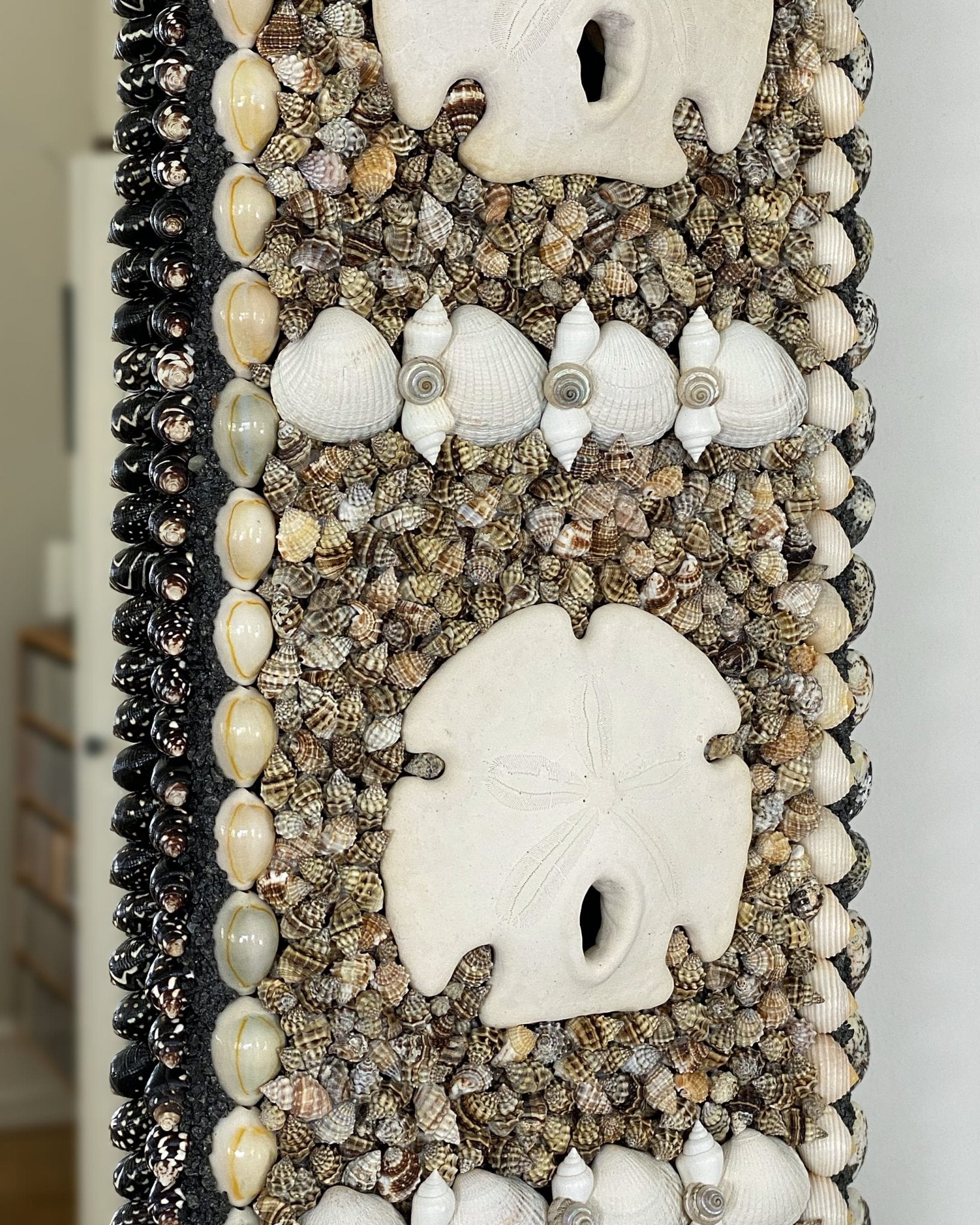 WHAT!? | Shell mirror, 1 of 1 | Shellman | Amsterdam | Natural art from sea and beach